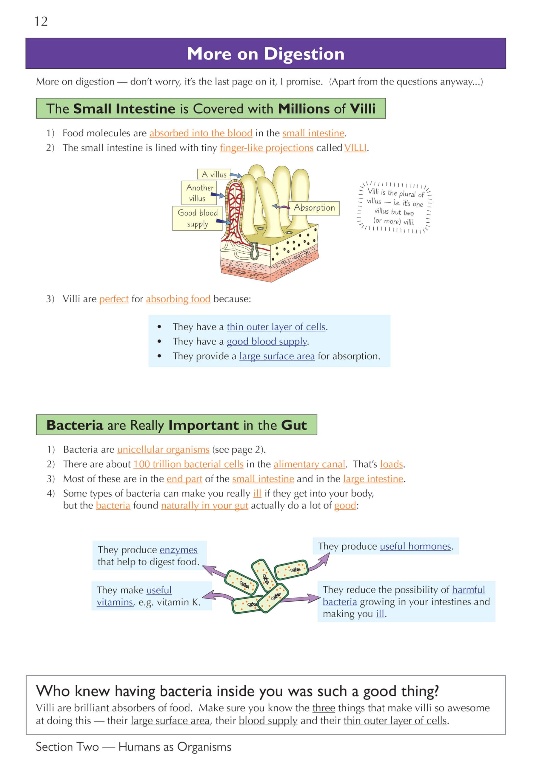 CGP KS3 Science Complete Study & Practice Guide - Higher Level | Paperback | 208 Pages 6