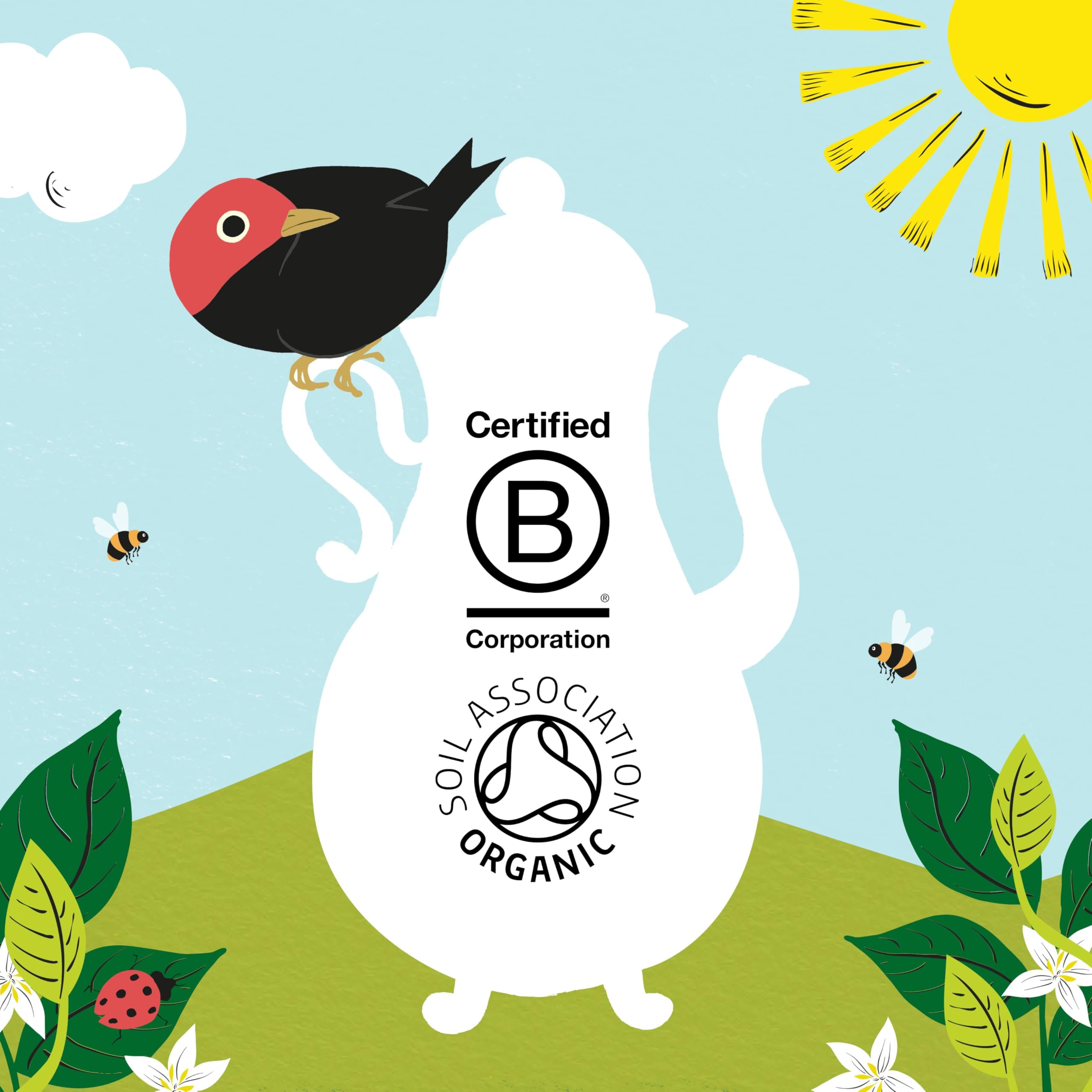 Clipper Organic Decaf Instant Coffee - 6x 100g Jars Medium Roast Arabica 3