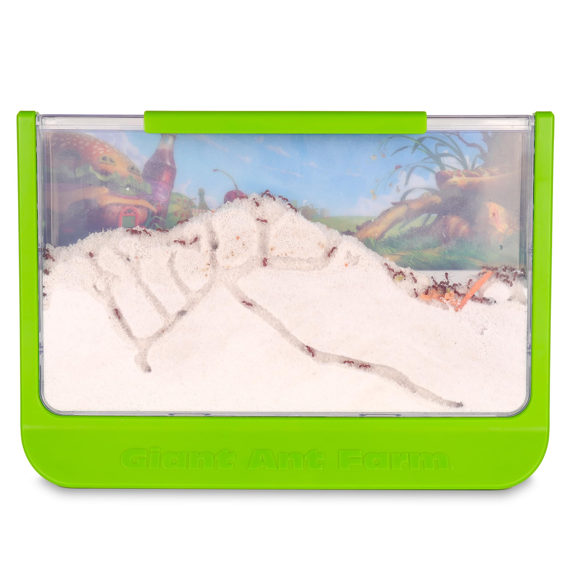 Uncle Milton Giant Ant Farm - Extra Large Viewing Area with Ant Picnic Scene 4