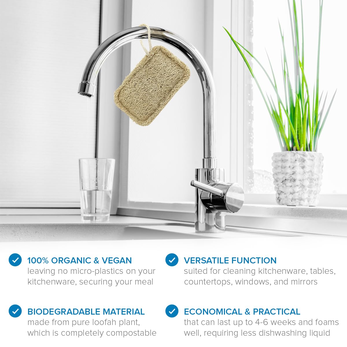 Joeji's Kitchen - Pack of 8 Natural Eco Dishwasher Sponges 8