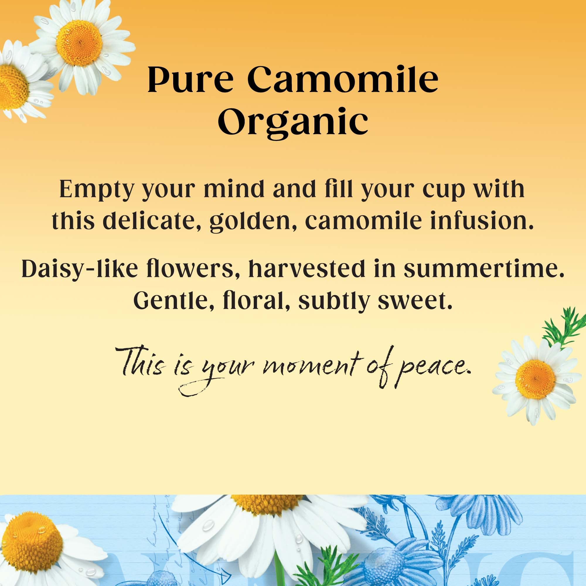 Twinings Bio-Kamille x20 Teebeutel, 30 g 11