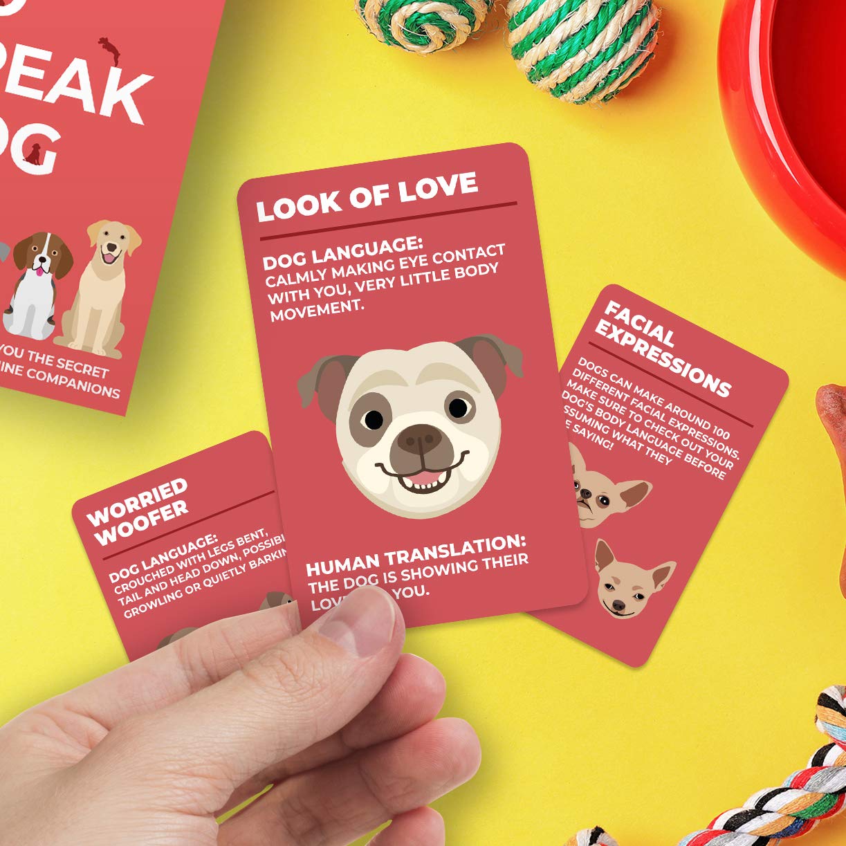 Gift Republic Dog Behaviour Cards - 100 Cards for Understanding Dog Language | Unisex Adult 4