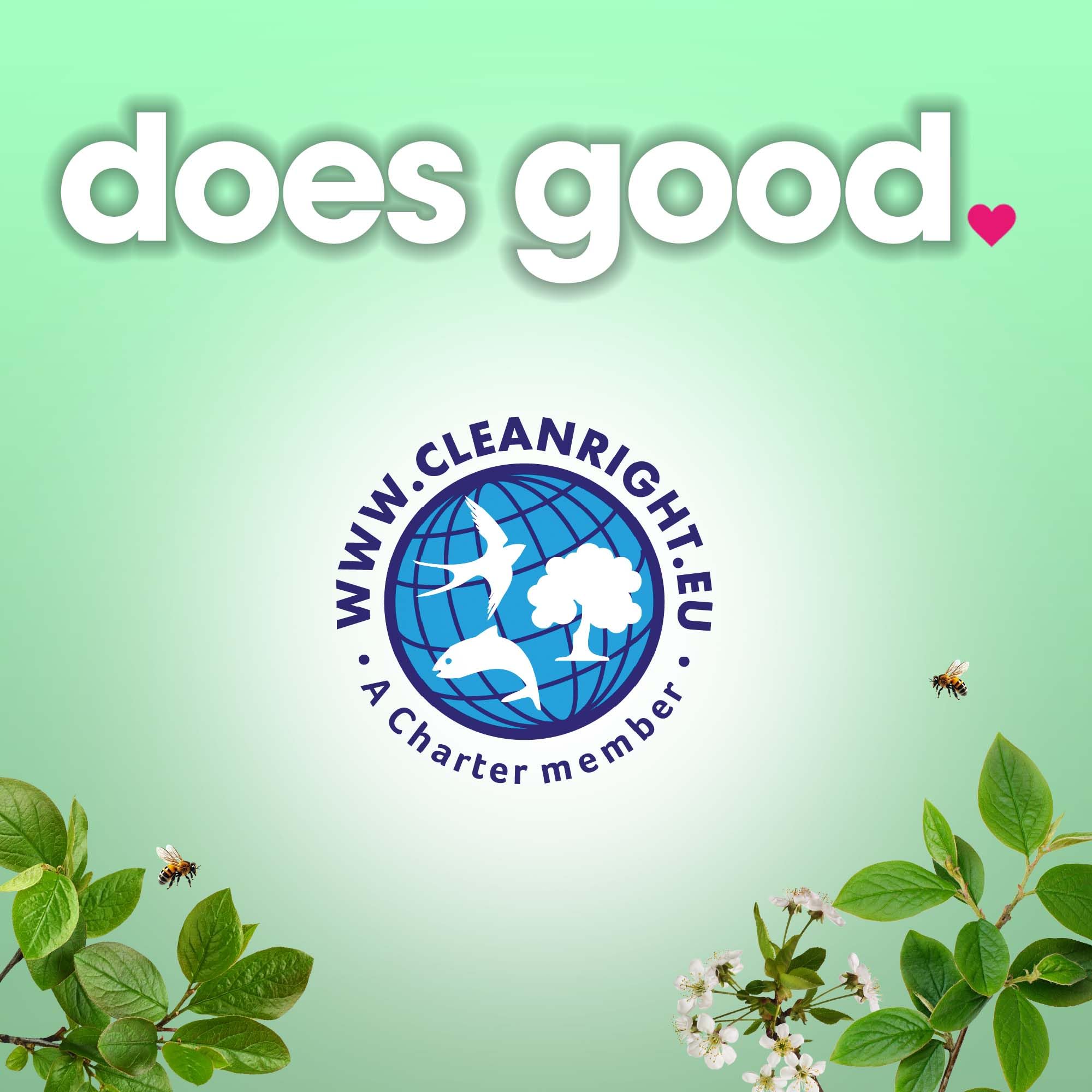 Ecozone - Optimum All In One Dishwasher Capsules 25 Pack 4