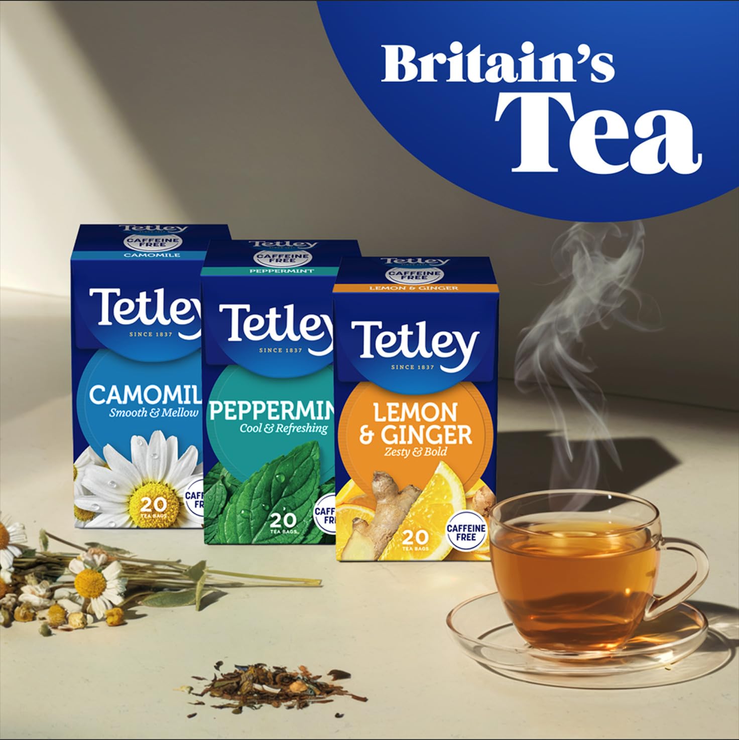 Tetley Redbush Tea with Vanilla - Naturally Caffeine-Free Rooibos Tea Bags - Rainforest Alliance Certified - 240 Teabags (6 x 40) 5