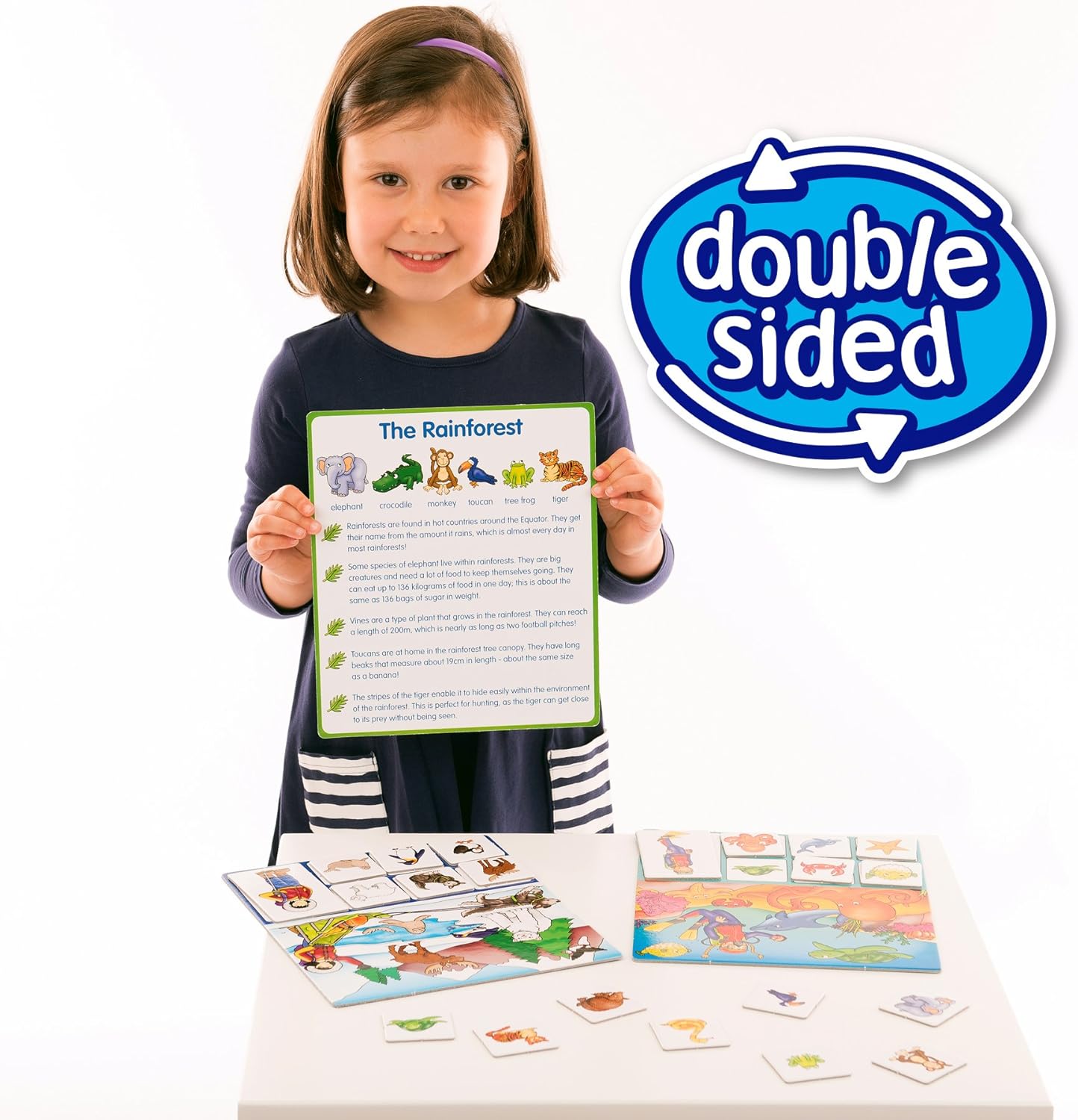 Orchard Toys Where Do I Live? Board Game 3