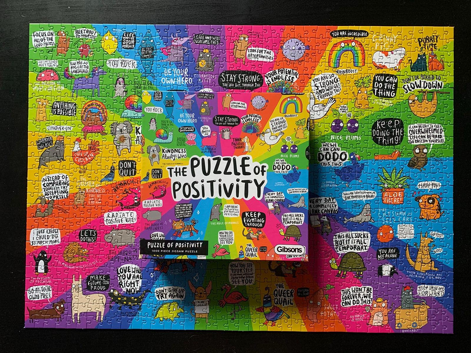 Gibsons Puzzle of Positivity - 1000 Piece Jigsaw Puzzle for Adults & Teens | Recycled Board 8