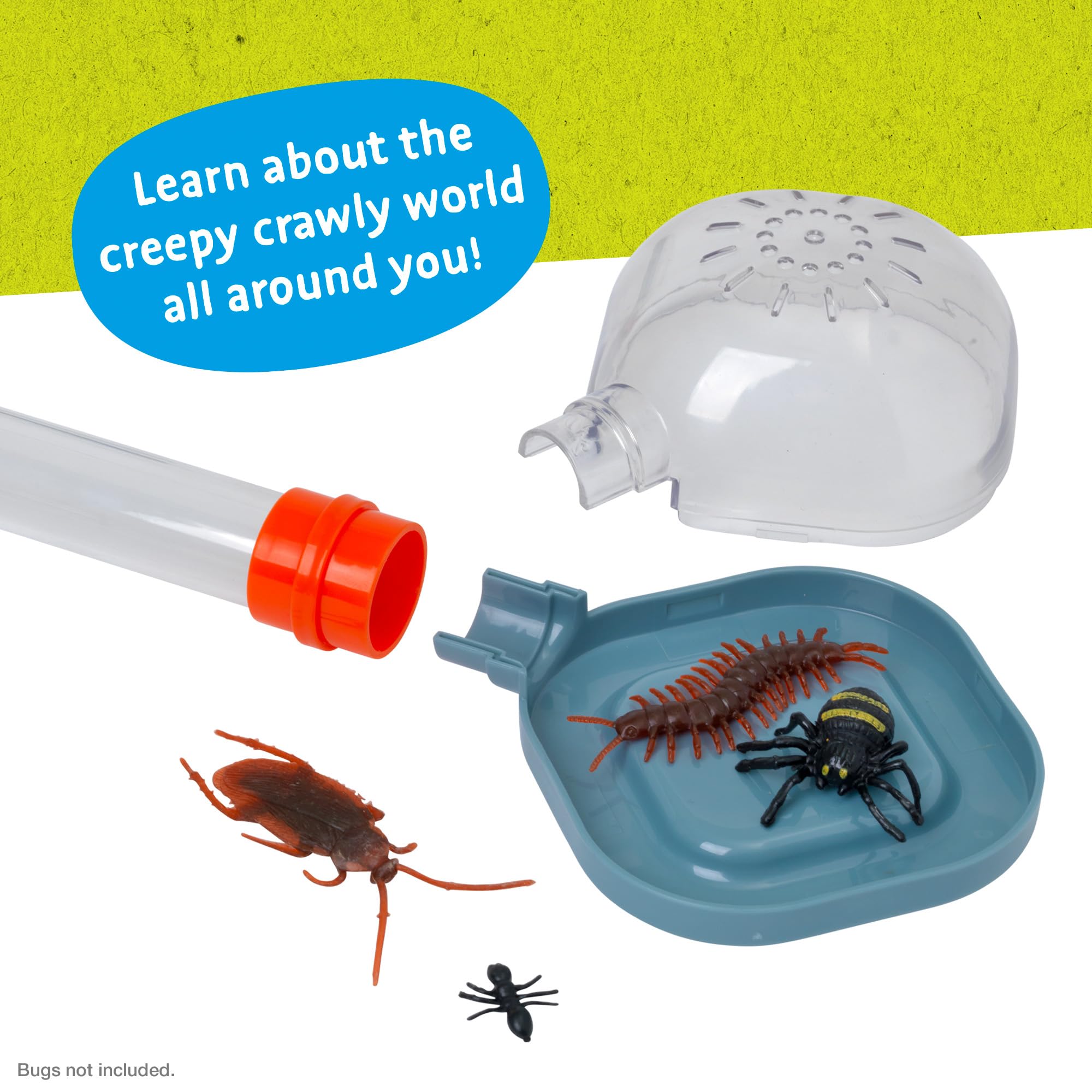 Peterkin Classics Bug City Bug Hotel Science Kit | STEM Learning | Green Plastic 4