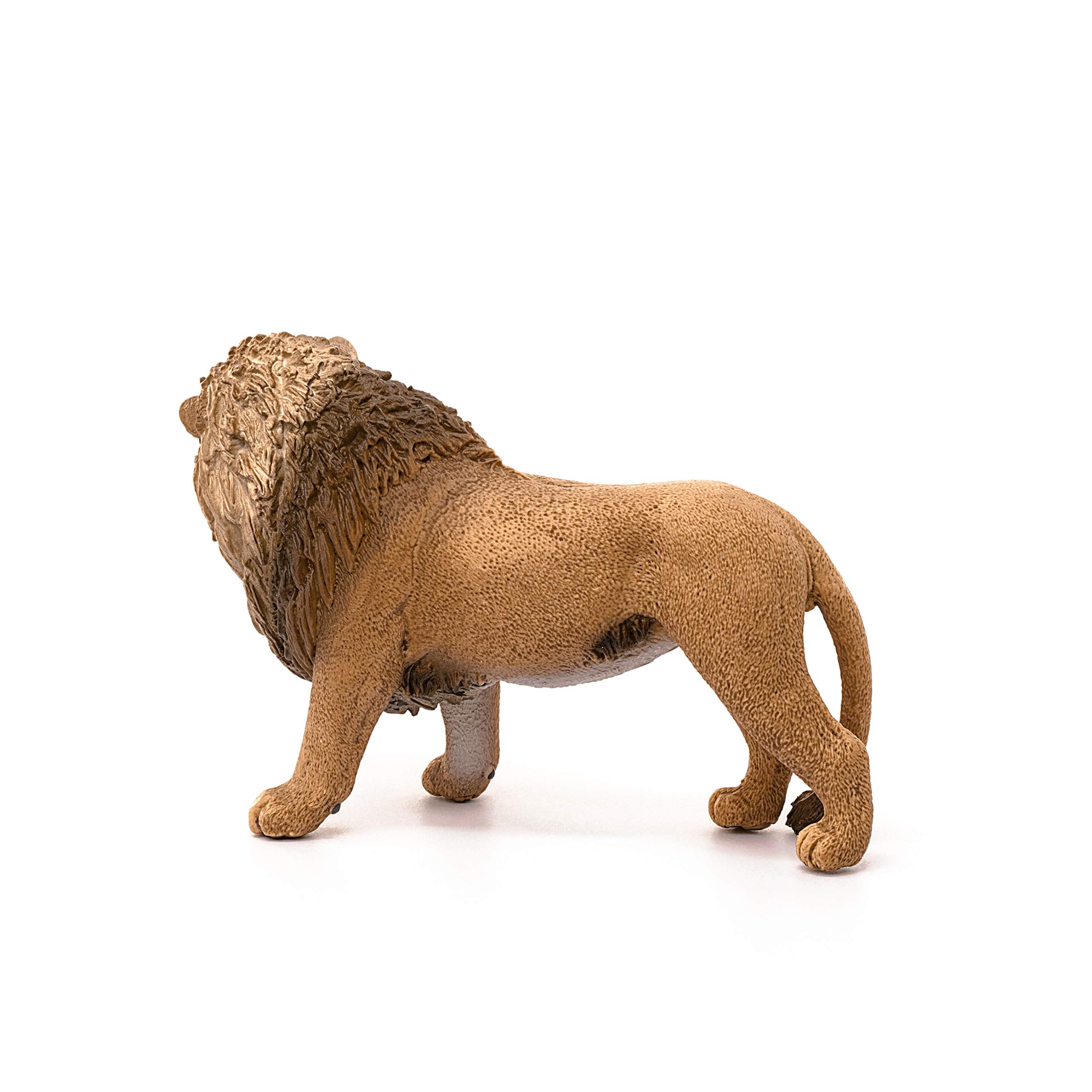 SCHLEICH Lion 14726 - Roaring Wildlife Figurine for Kids 3-10 Years 6