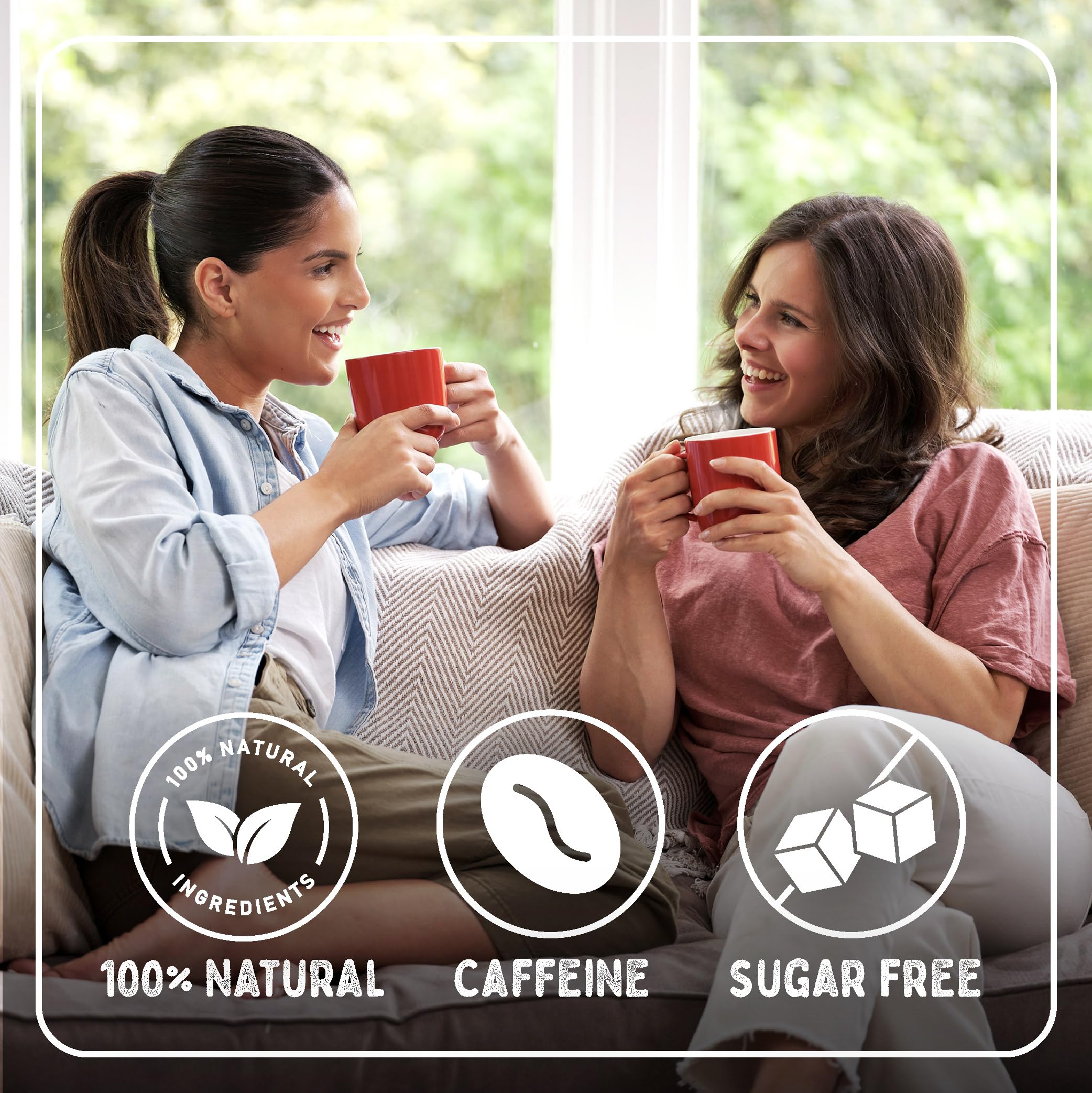 Typhoo One Cup Teebeutel, 440 Stück 8