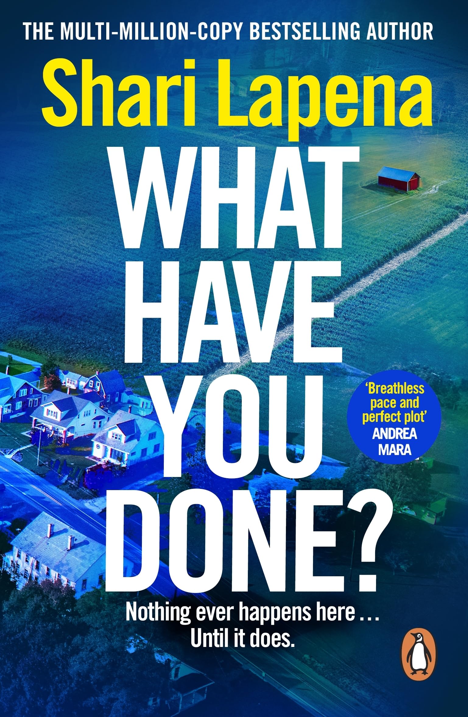 Lapena, Shari - What Have You Done? | Paperback Thriller 1