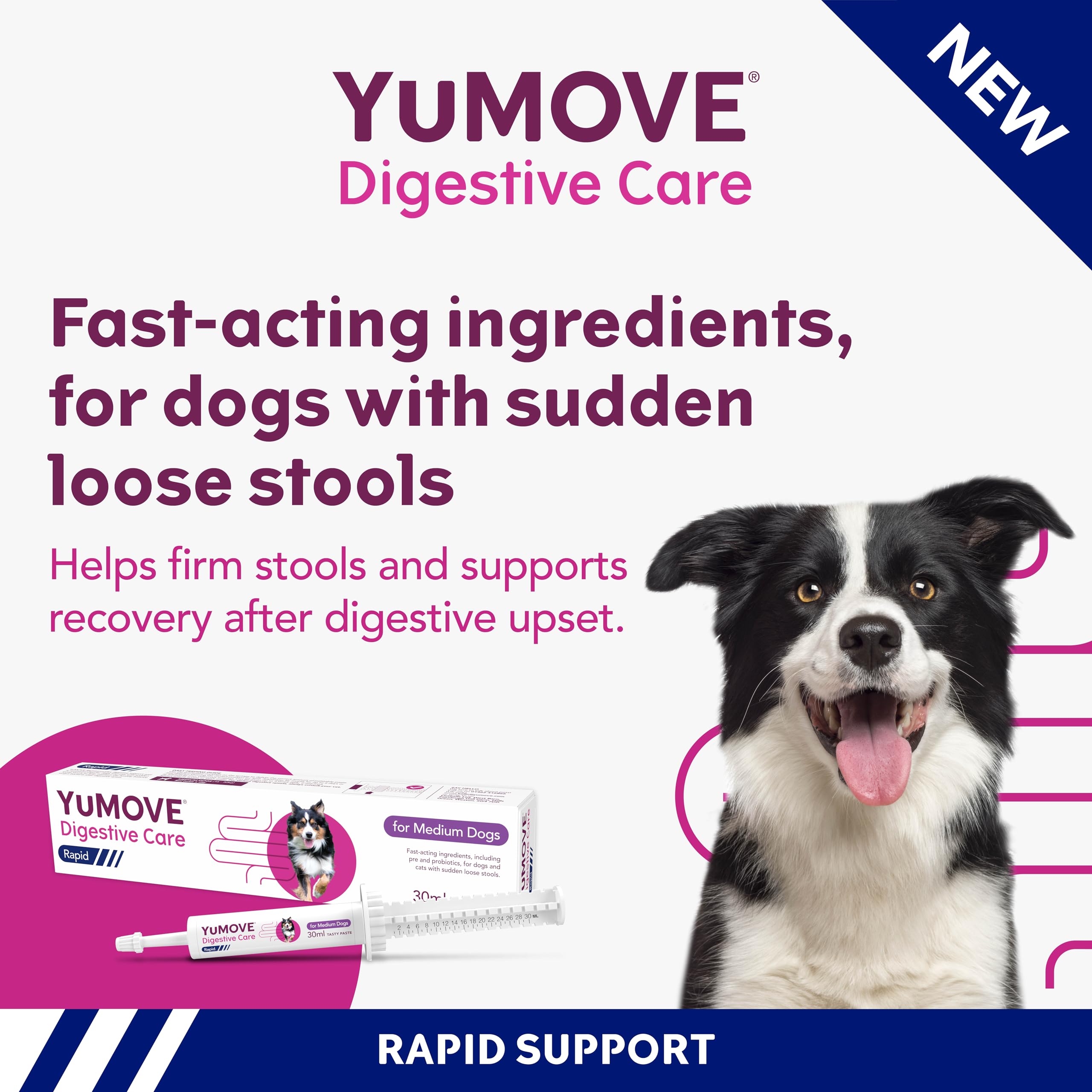 YuMOVE Digestive Care Rapid Pre and Probiotic Paste for Dogs Gut Health | 30ml