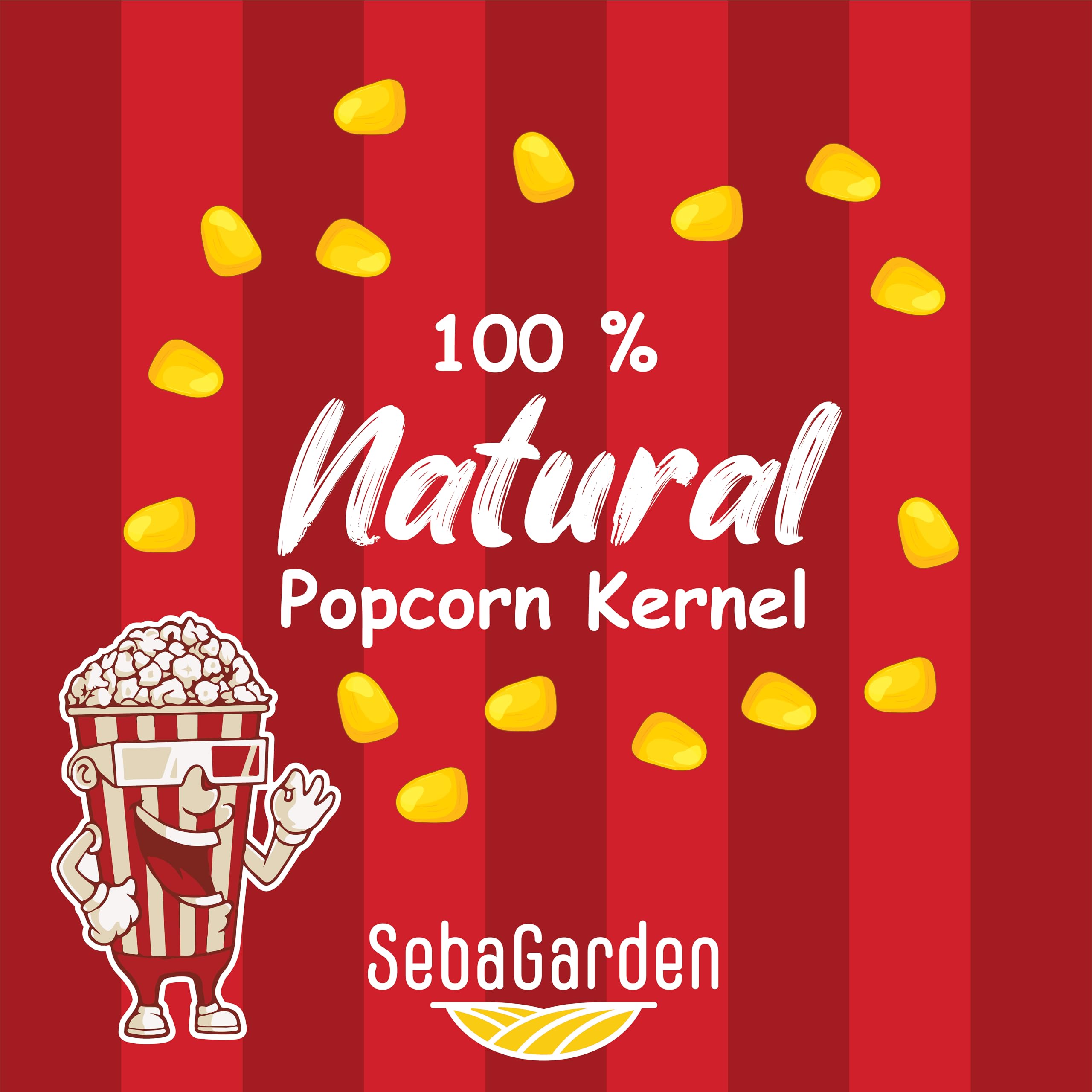 Seba Garden Popcorn Kernels (1 kg) - Vegetarian, Gluten-Free, GMO-Free Snack 3