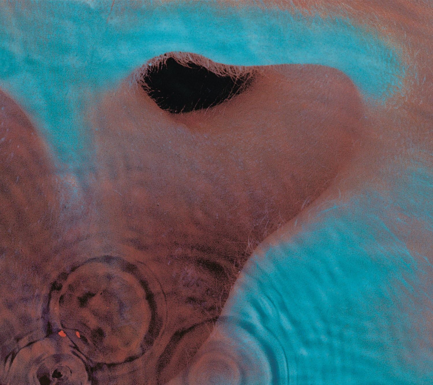 Pink Floyd - Meddle [VINYL]