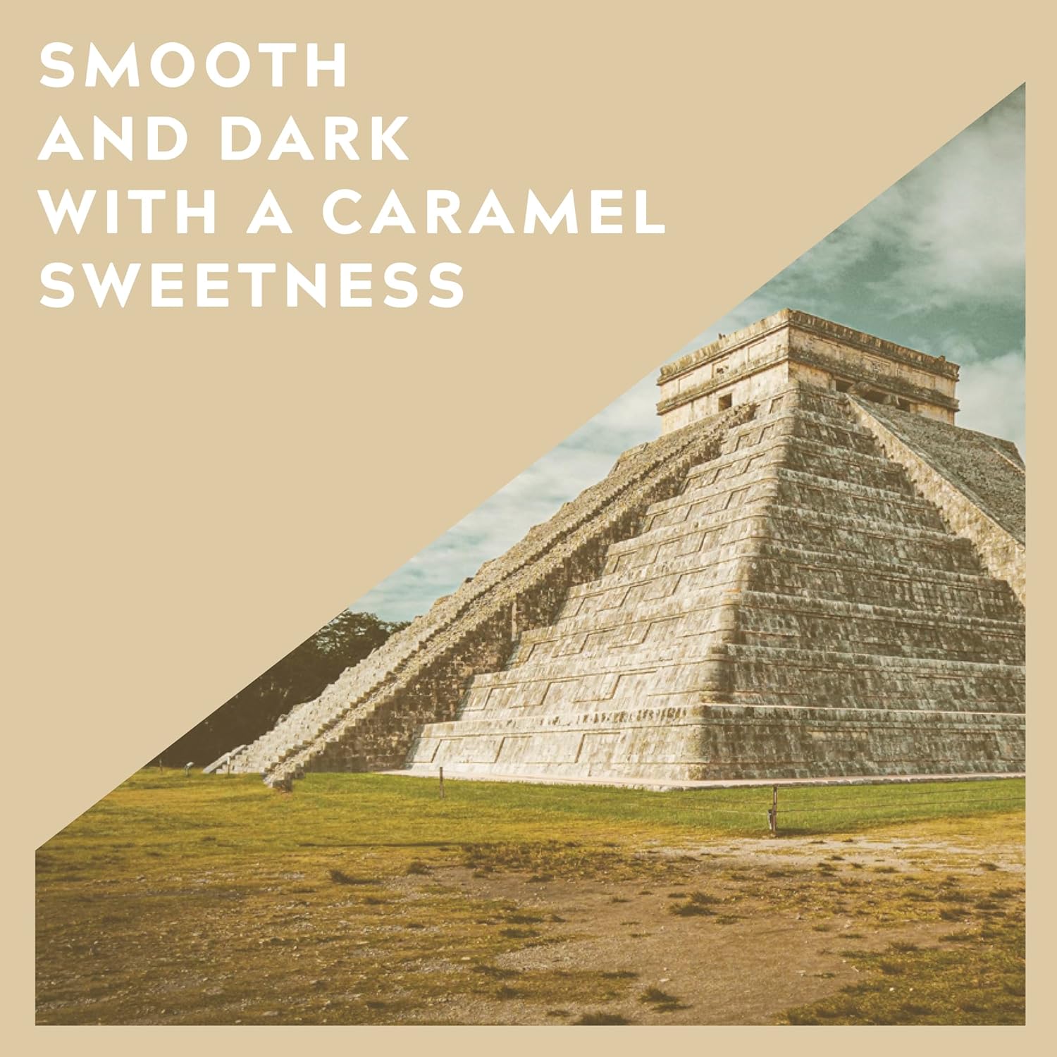 Cafédirect Mayan Gold Mexico Organic Fairtrade Ground Arabica Coffee 227g 6