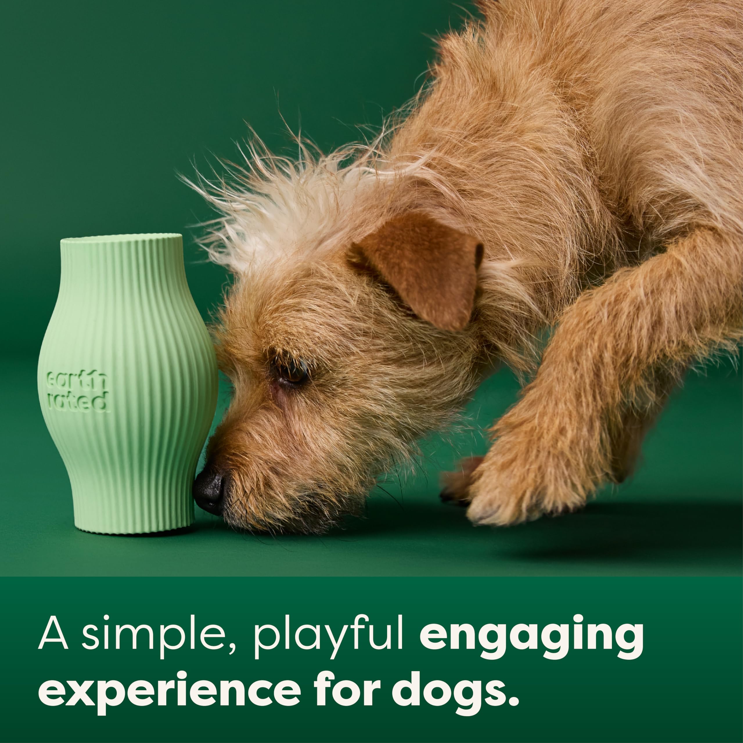 Earth Rated Treat Dispensing Dog Toy - Interactive Enrichment for Small Dogs | Natural Rubber | Green 4