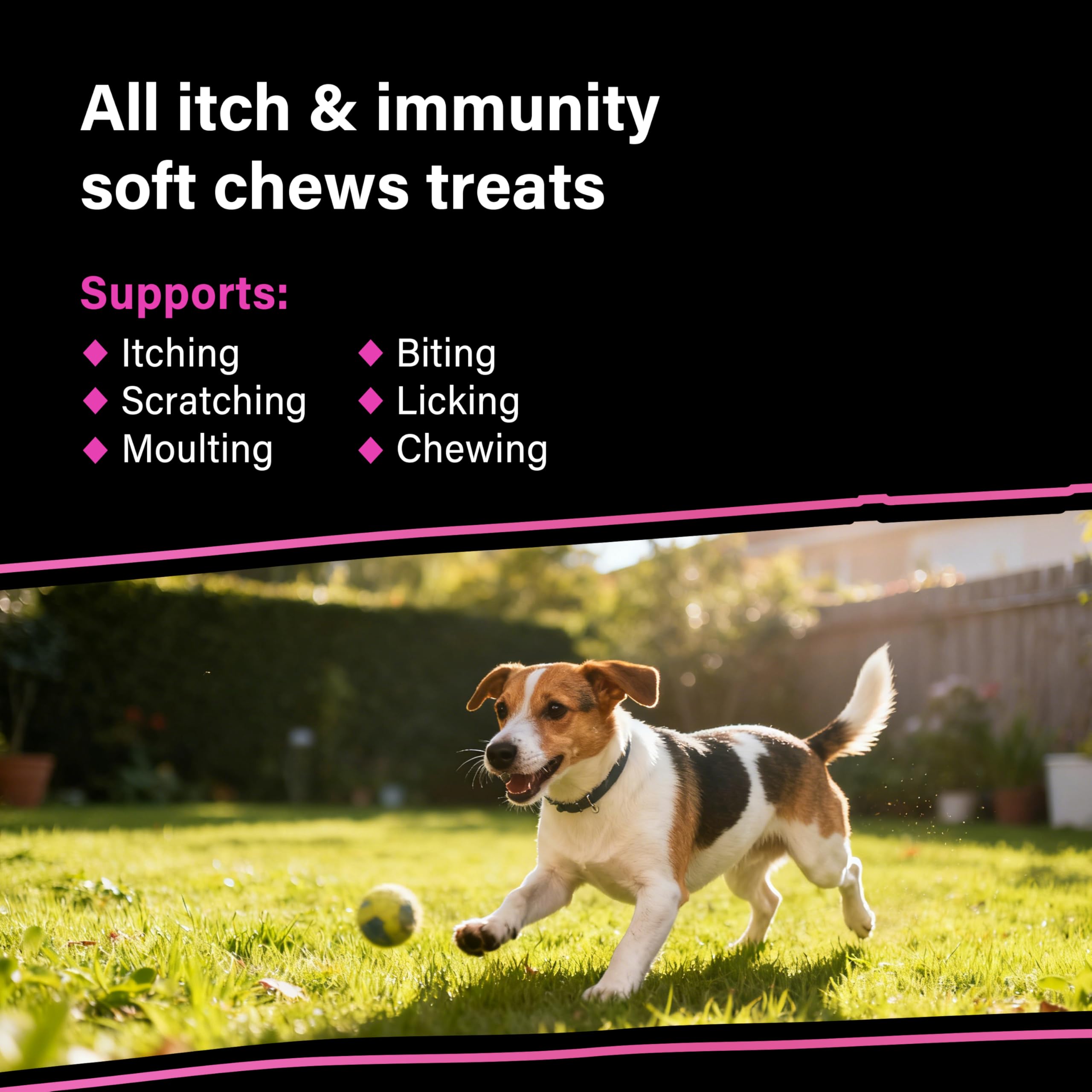 Go Mutts All Itch and Immunity Treats for Dogs - 90 Soft Chews | Anti-Itch & Immune Support
