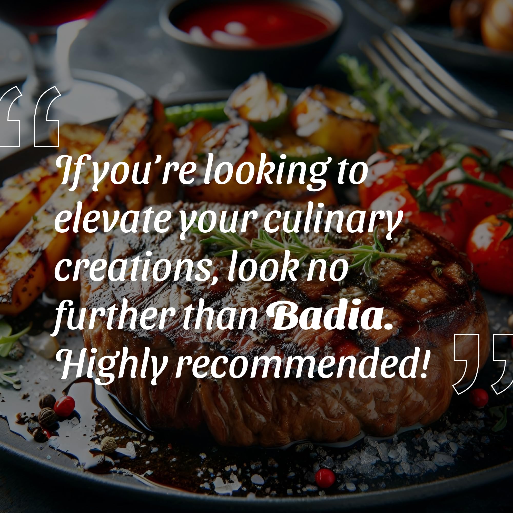 Badia The Original Complete Seasoning, 793,8 g Catering-Becher 9