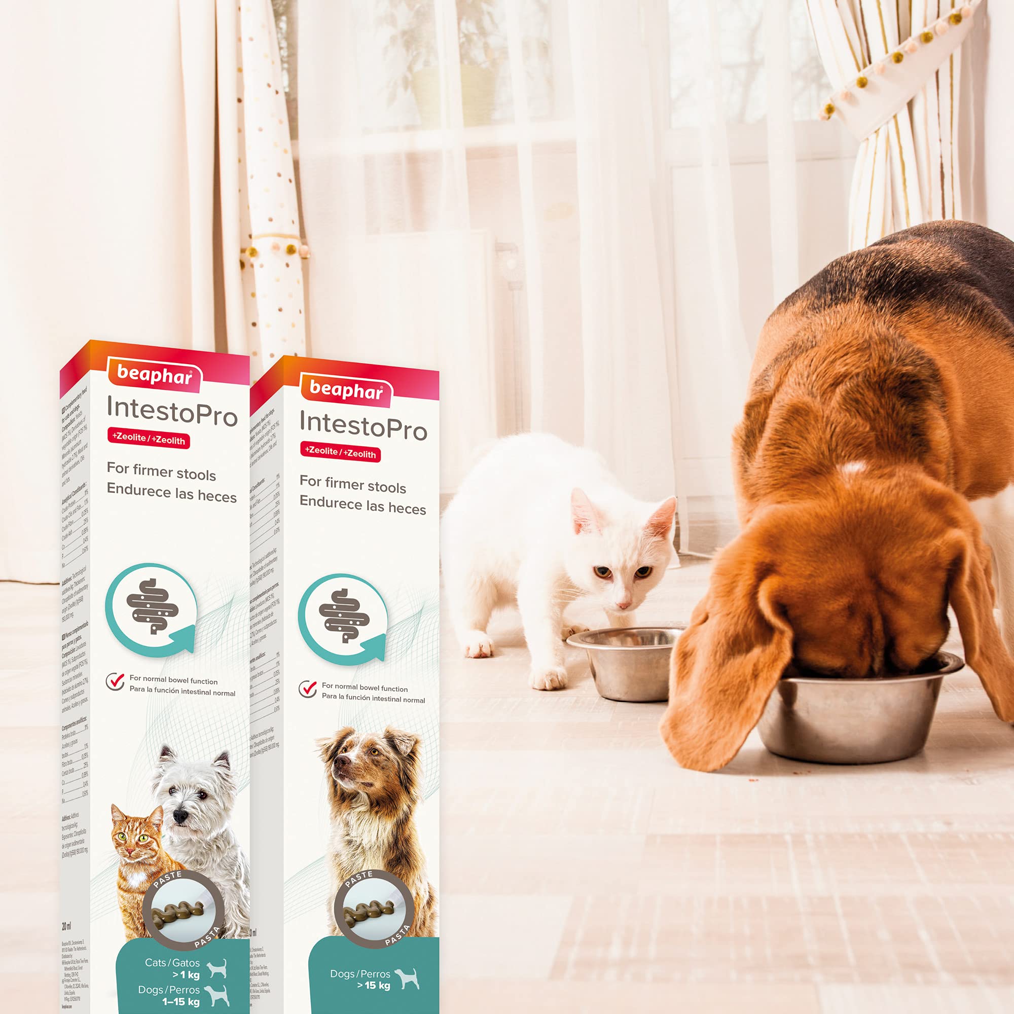 Beaphar IntestoPro Prebiotic Stool Firming Paste for Cats and Small Dogs | 20ml Syringe 5