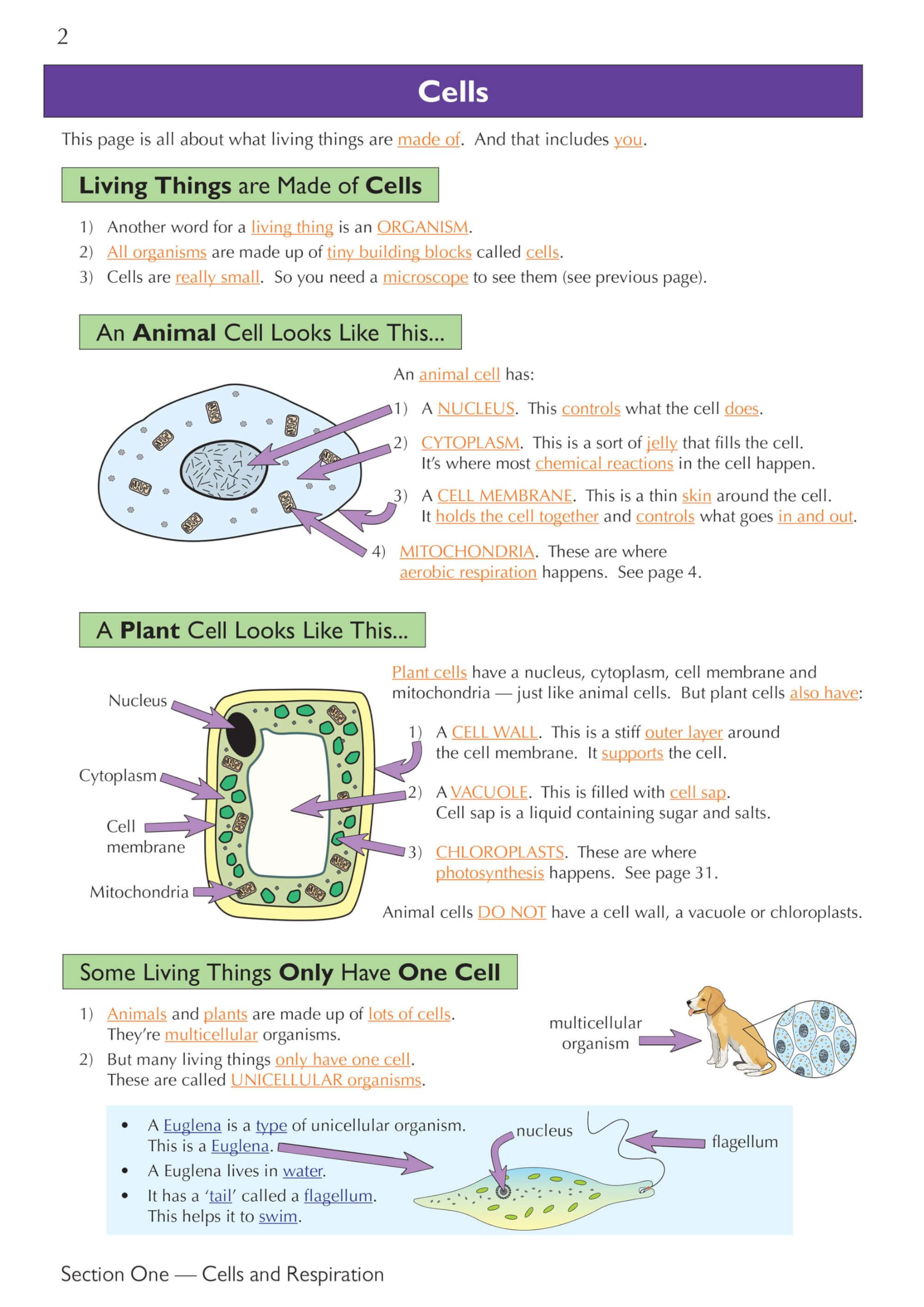CGP KS3 Science Complete Revision & Practice - Foundation Edition (Paperback) | Ages 11-14 | 208 Pages 3