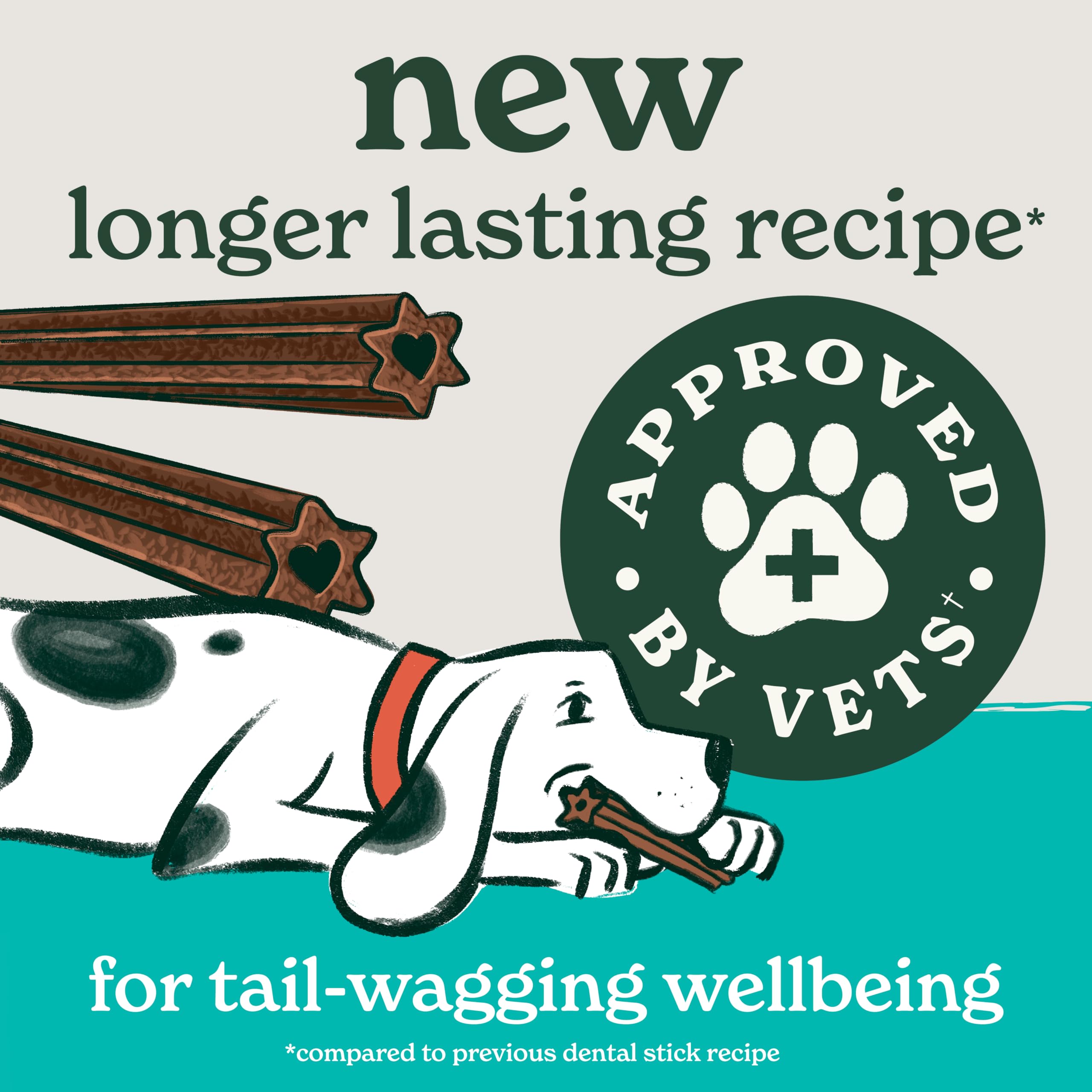 Forthglade Natural Dog Dental Sticks - Plant Based Mint Flavor | 10 x 185g Bags (50 Sticks Total) 4