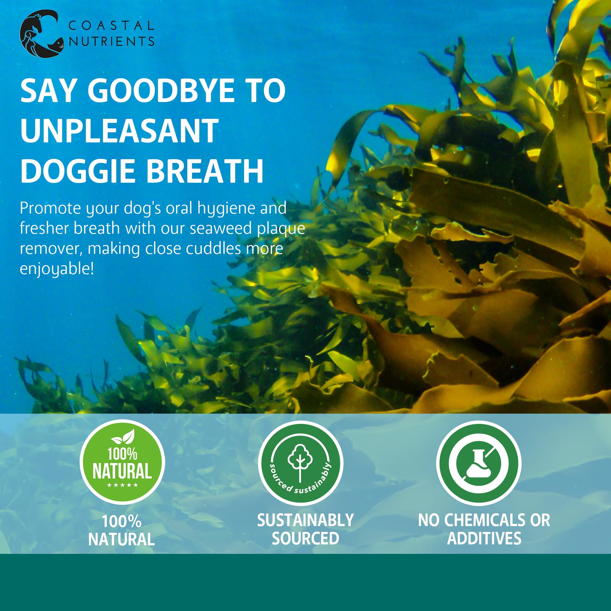 Coastal Nutrients Sea Dog Dental Powder for Dogs - Oral Hygiene & Gut Health | 250 g 5