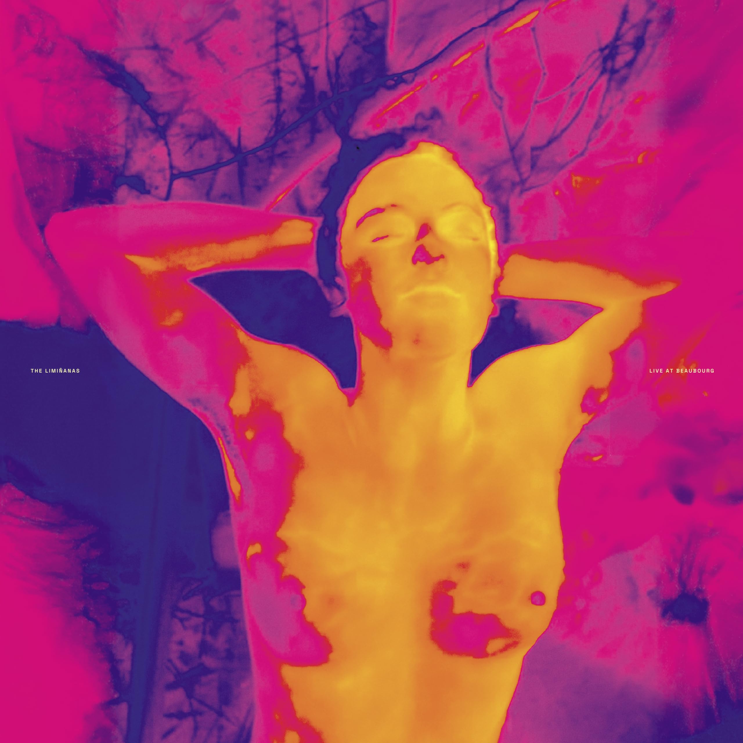 The Limiñanas - Live at Beaubourg [2LP Vinyl]