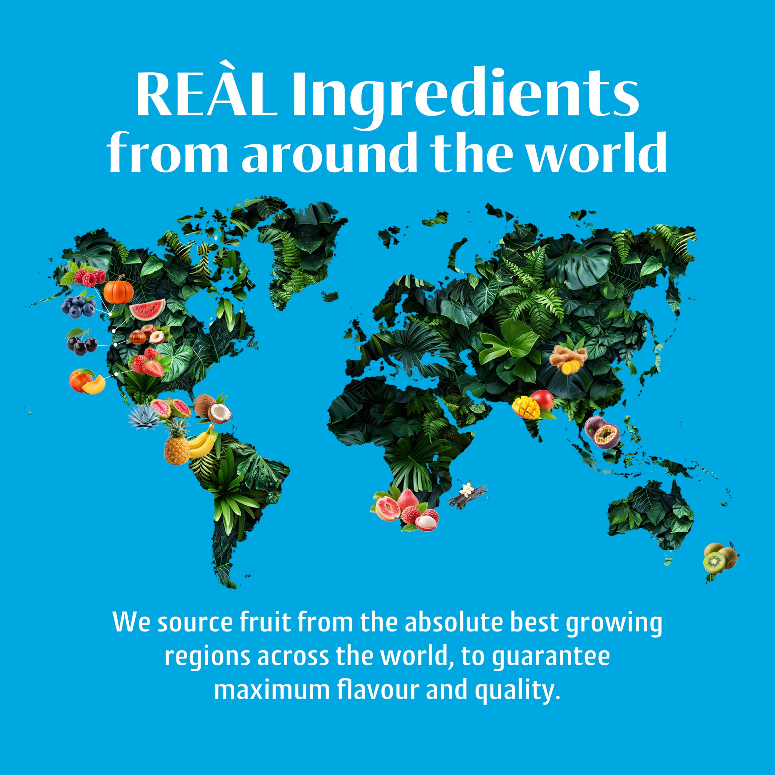 Reàl Infused Exotics – Coco Reàl Kokoscreme | 500 ml Quetschflasche 4