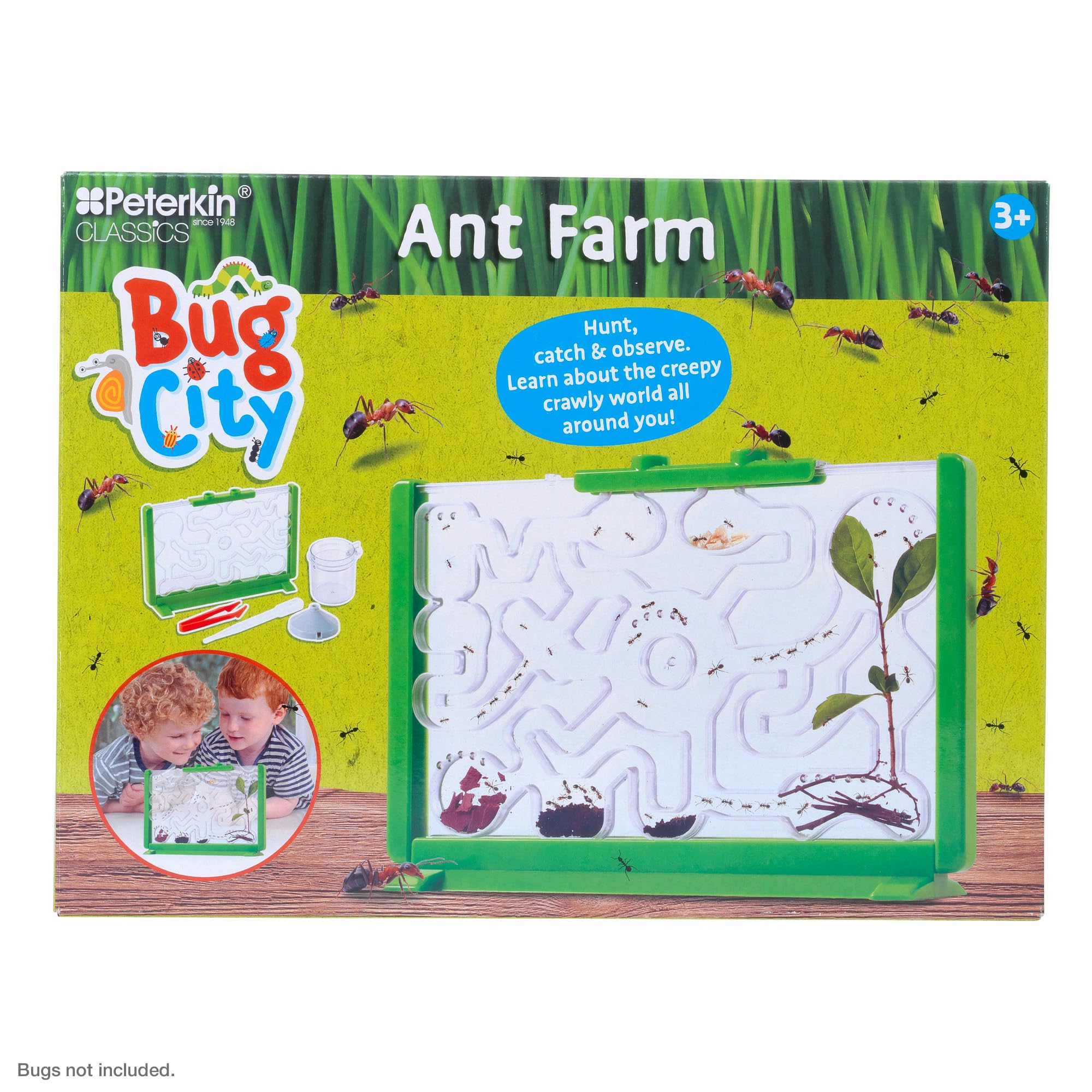Peterkin Classics Bug City Ant Farm | Educational Science Kit | Unisex Children 5