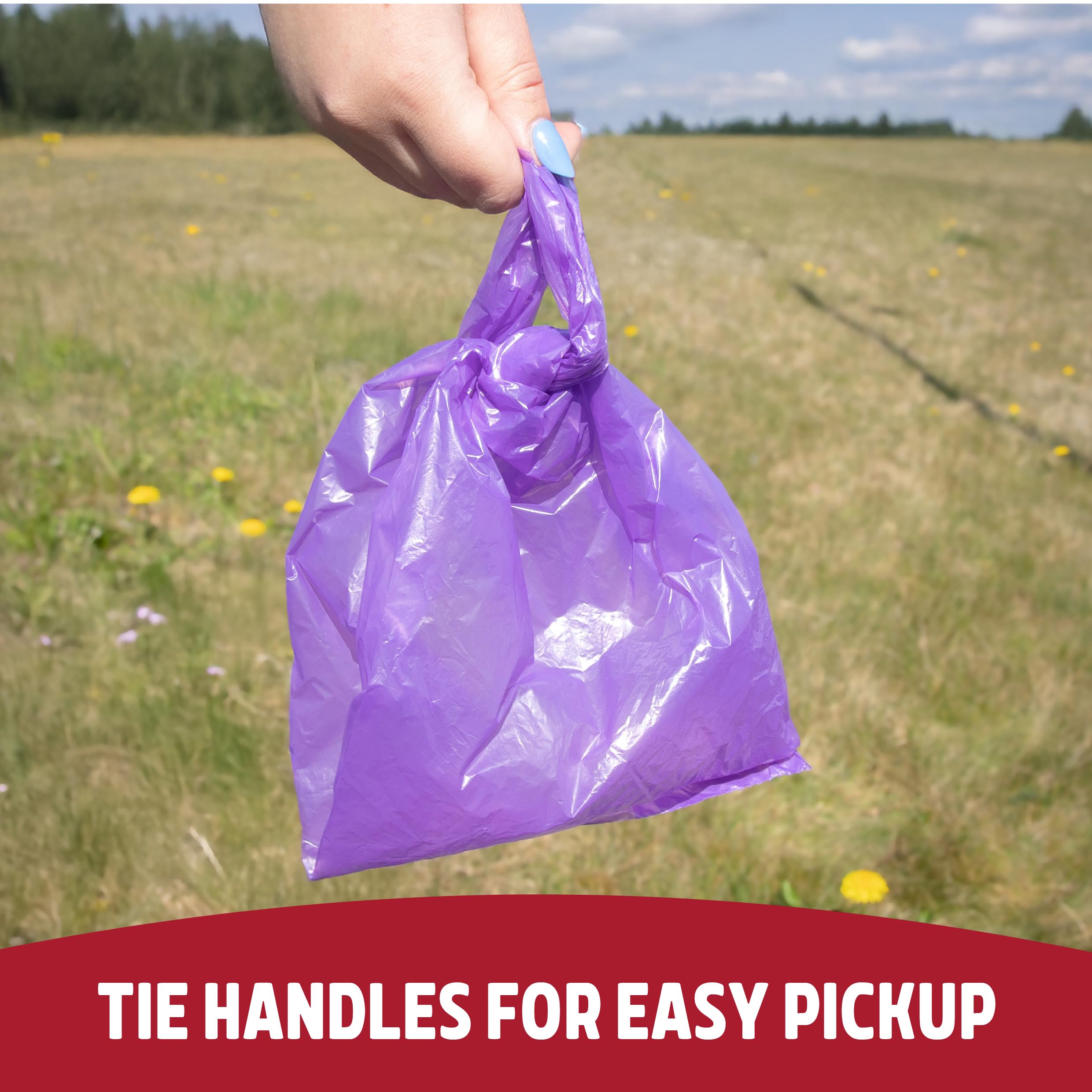 Rosewood Dog Poo Bags with Handles - 240 Bags, 12 Rolls, Vanilla Scented 6