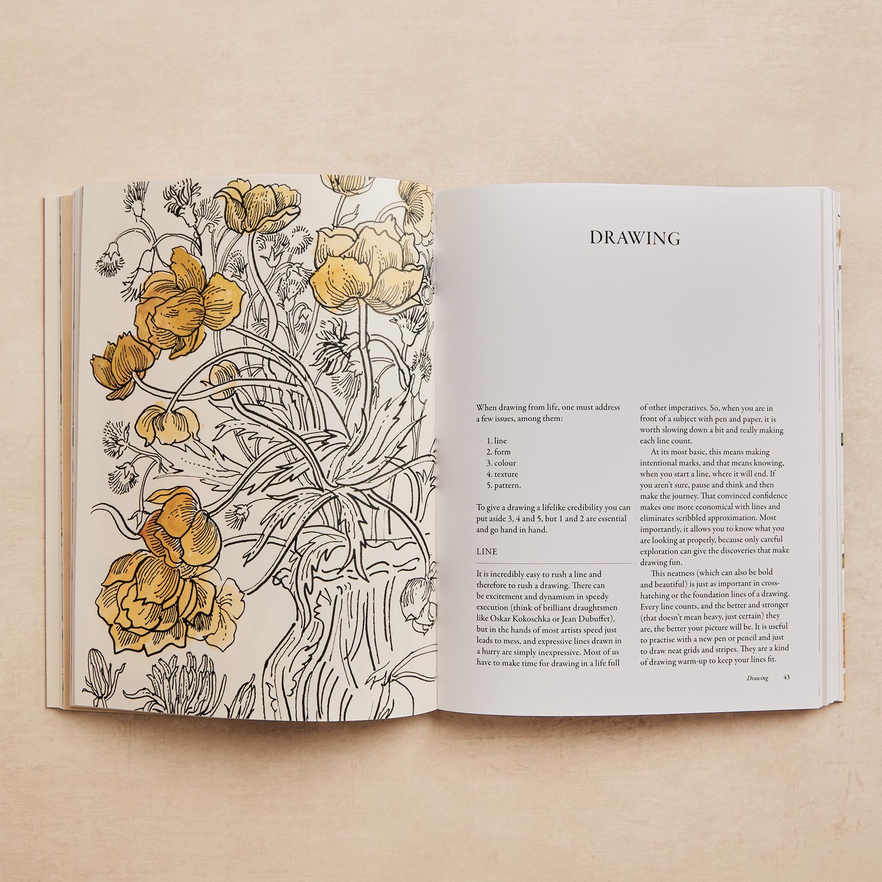 Ilex Press How to Look, Draw & Paint by Matthew Rice | Paperback 3