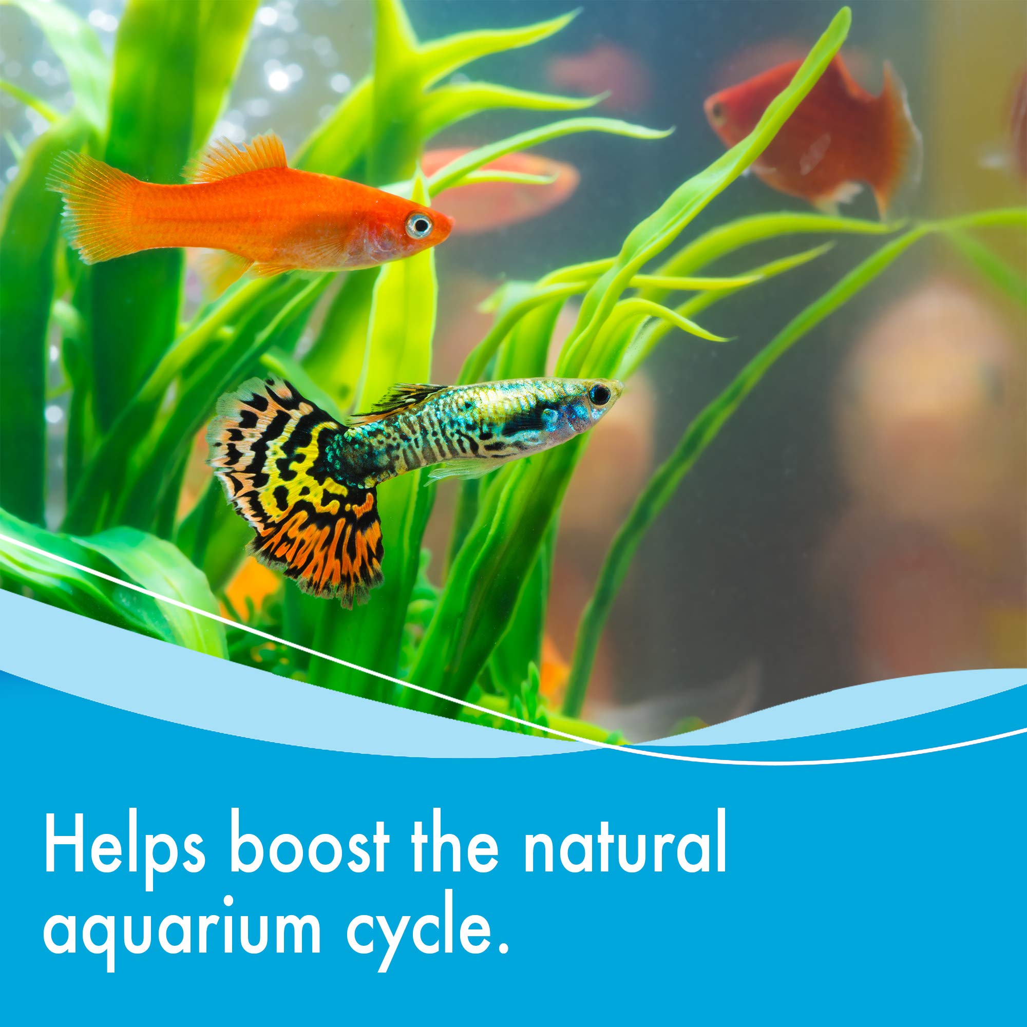 AQUARIAN Weekly Water Cleaner for Aquariums - Liquid Treatment, 473 ml (Pack of 1) 4