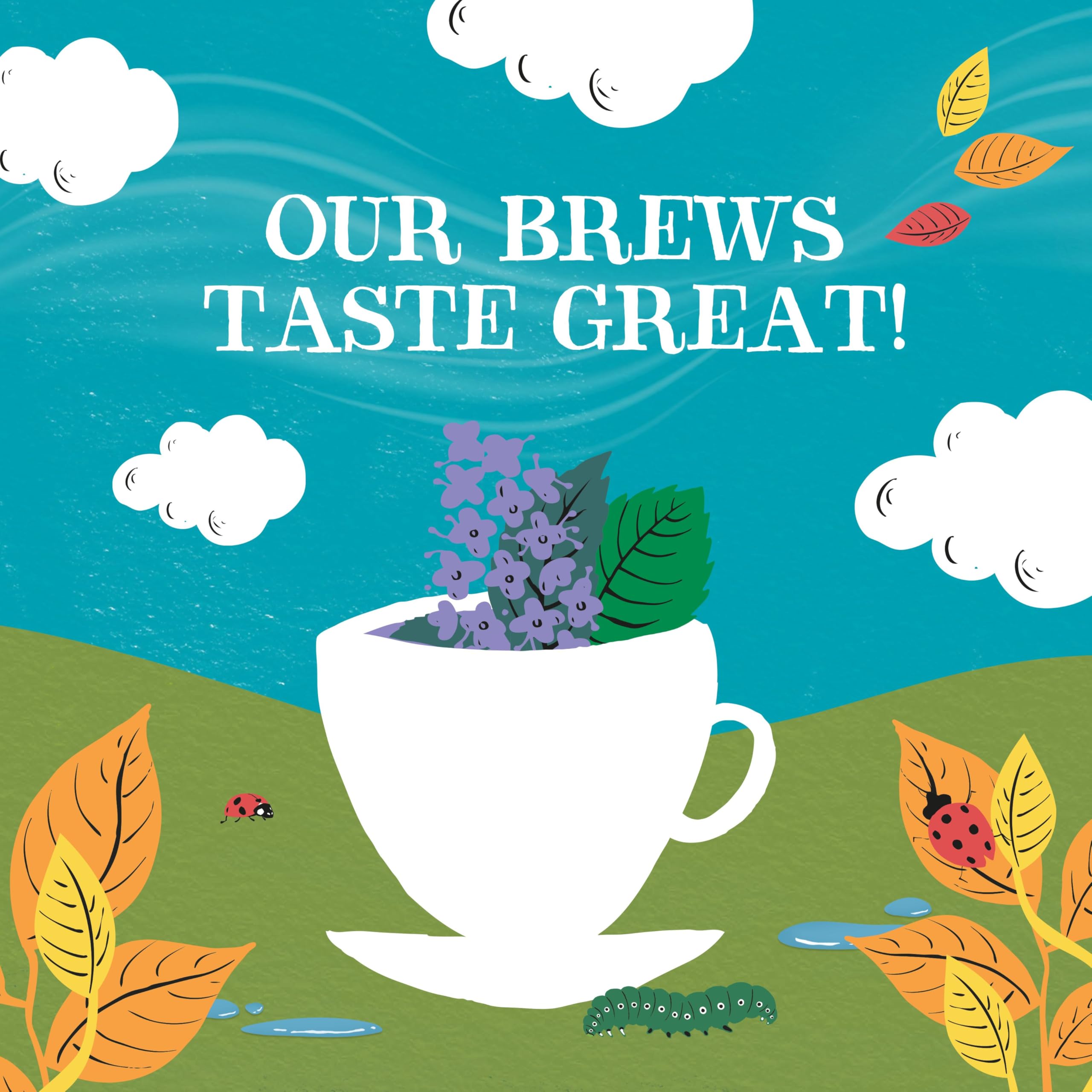 Clipper Organic Peppermint & Spearmint Infusions Fruit Teabags - 80 Unbleached Tea Bags 11