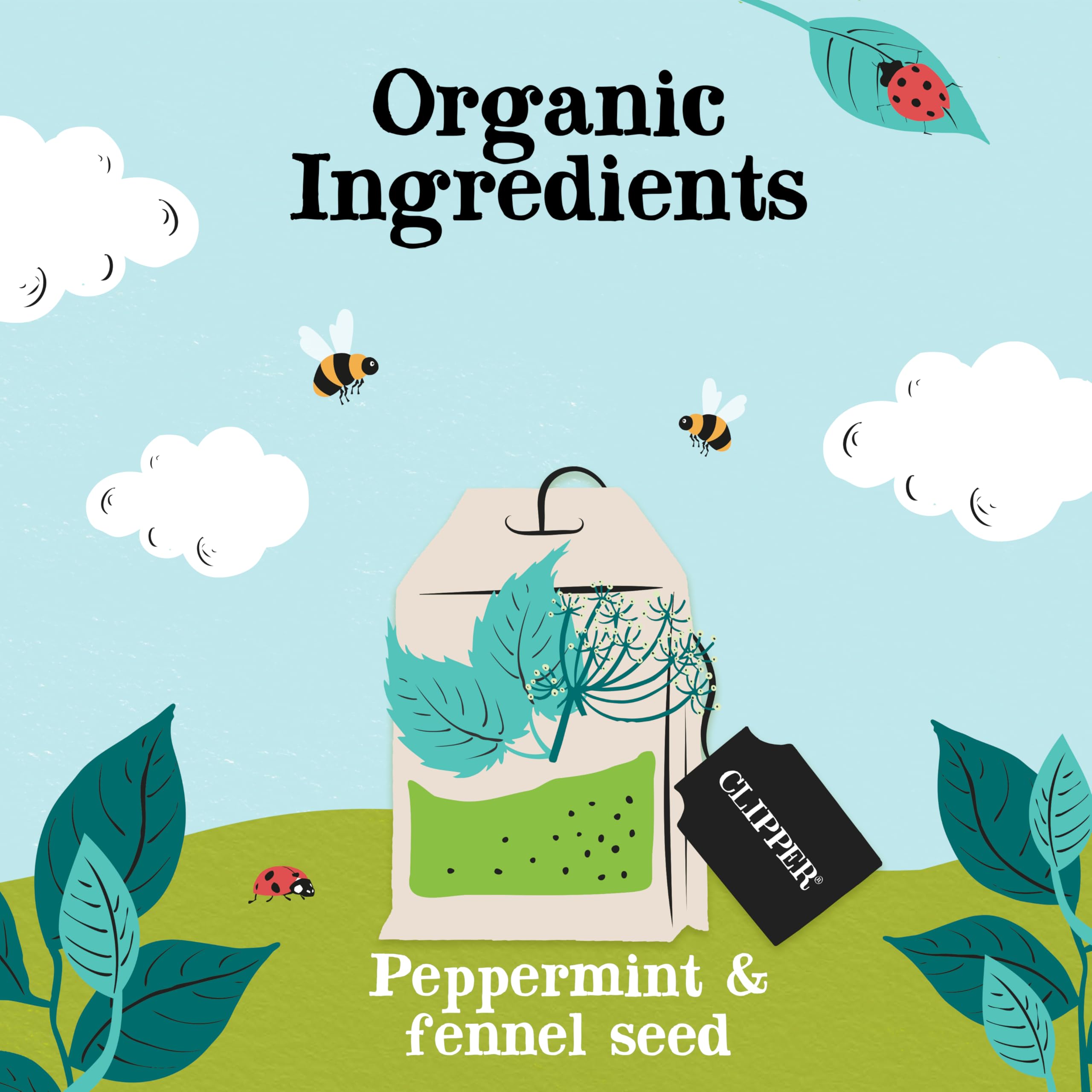 Clipper Organic After Dinner Mint & Fennel Infusion Tea Bags - 20 Count, Caffeine Free 3