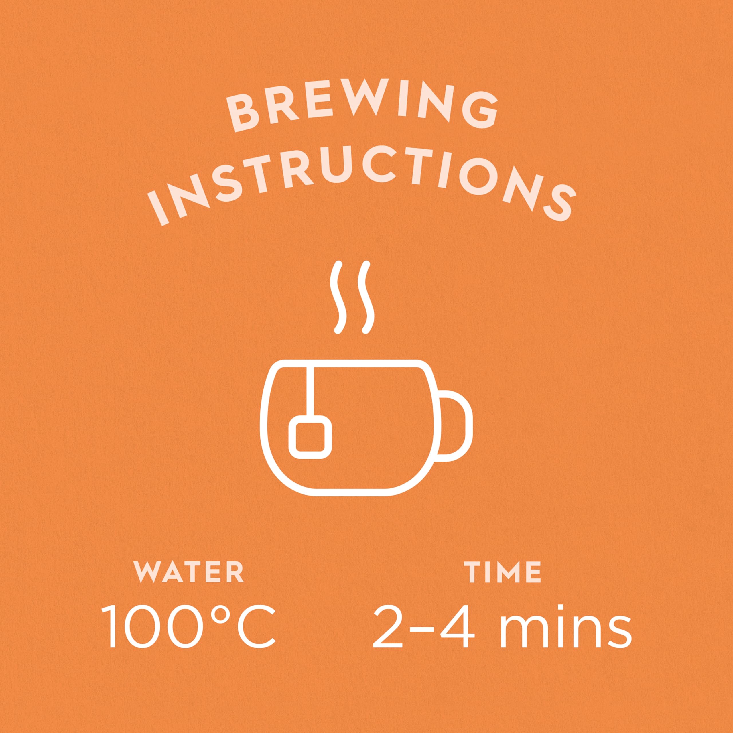 Dragonfly Golden Balance Turmeric Tea - 4 x 20 Organic Tea Bags (80 Total) 3