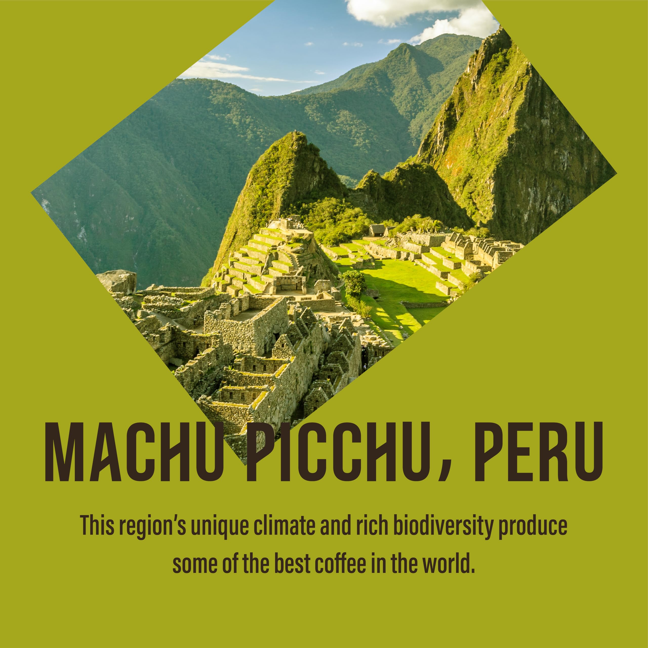 Cafédirect Fairtrade Machu Picchu Instant Coffee 100g (Pack of 6) 5