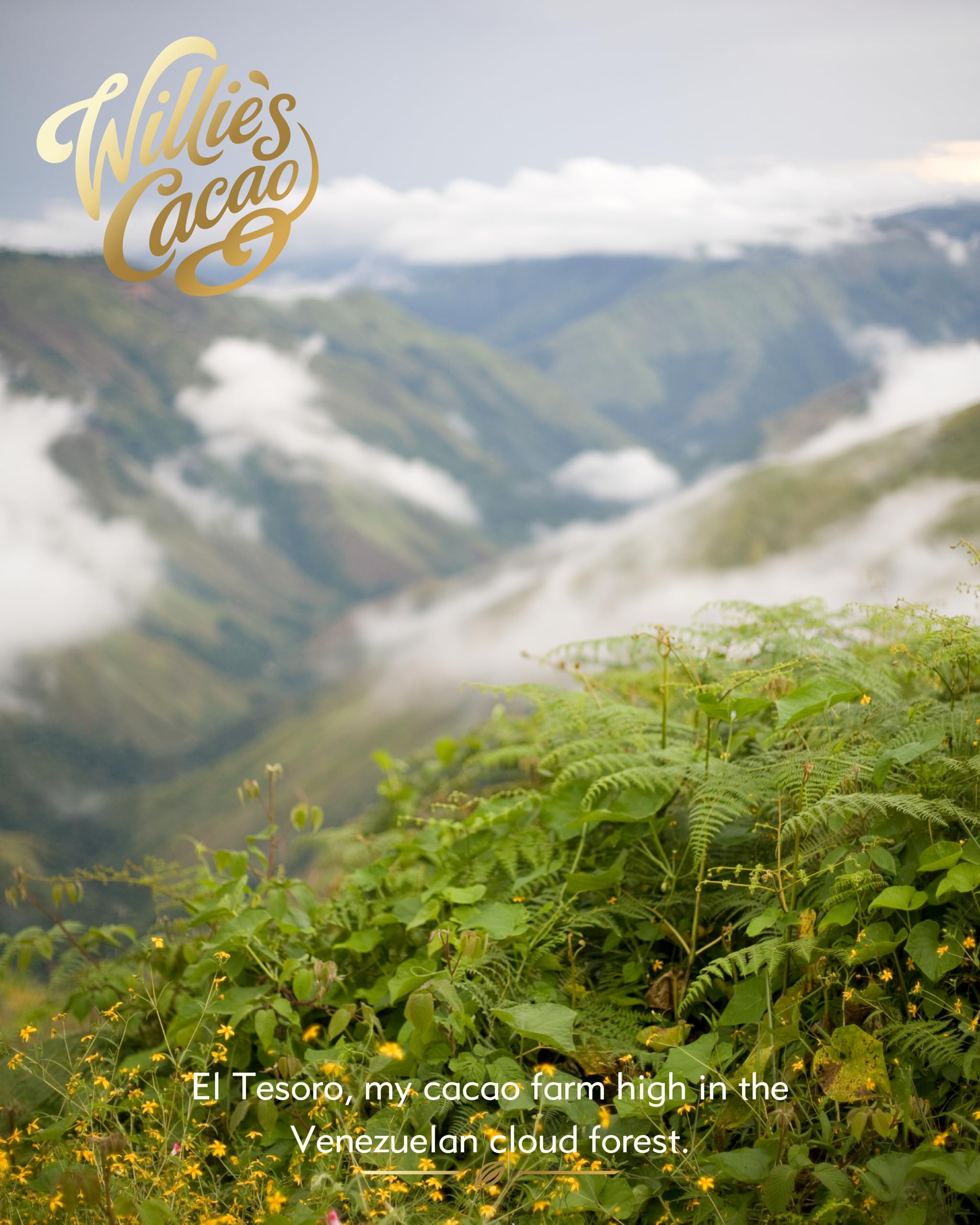 Willie's Cacao Bar - El Blanco, White Chocolate, 50g - Sublimely Creamy, Artisan Bean to Bar