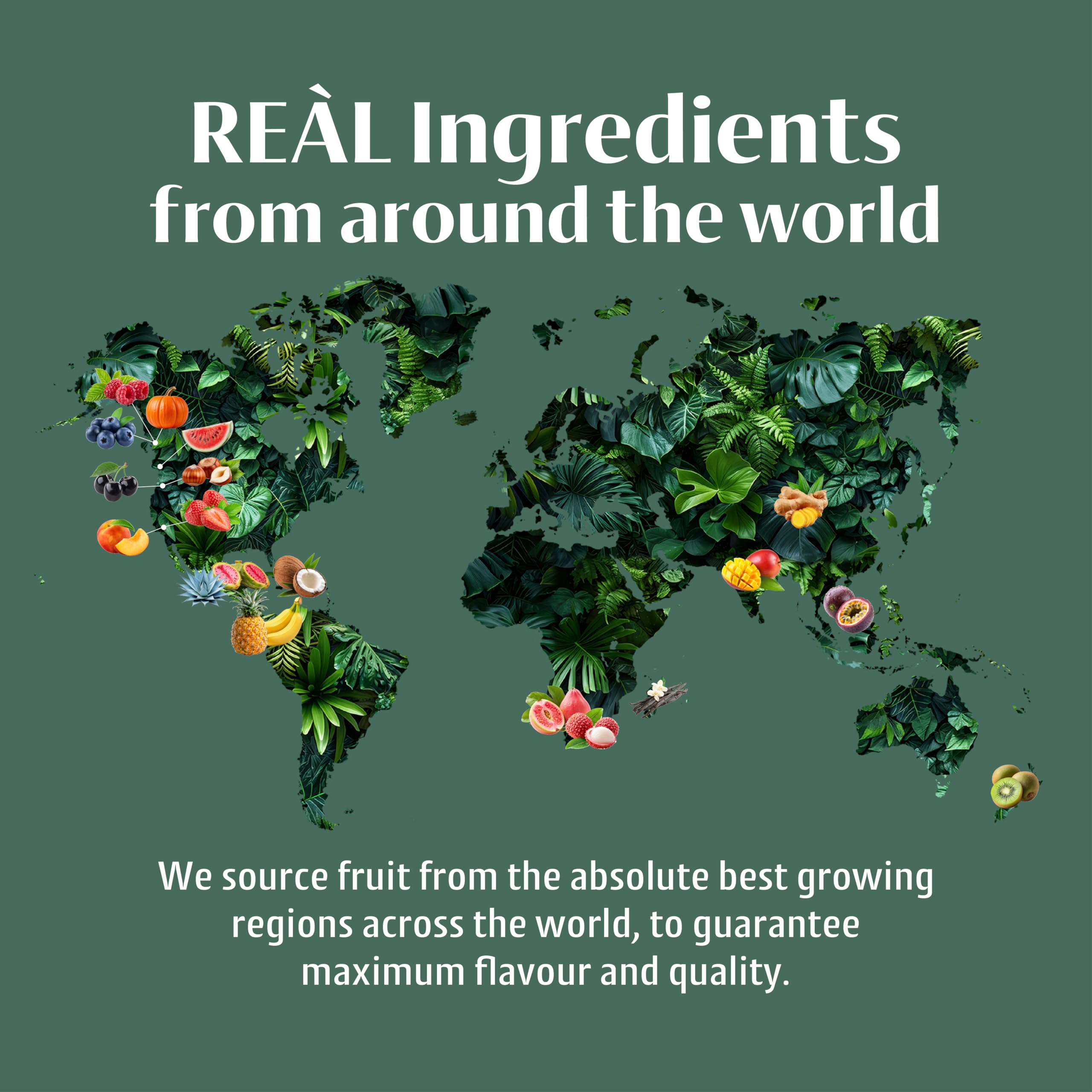 Reàl Infused Exotics Pineapple Puree Infused Fruit Syrup | 500 ml | Gluten Free, Vegan 7