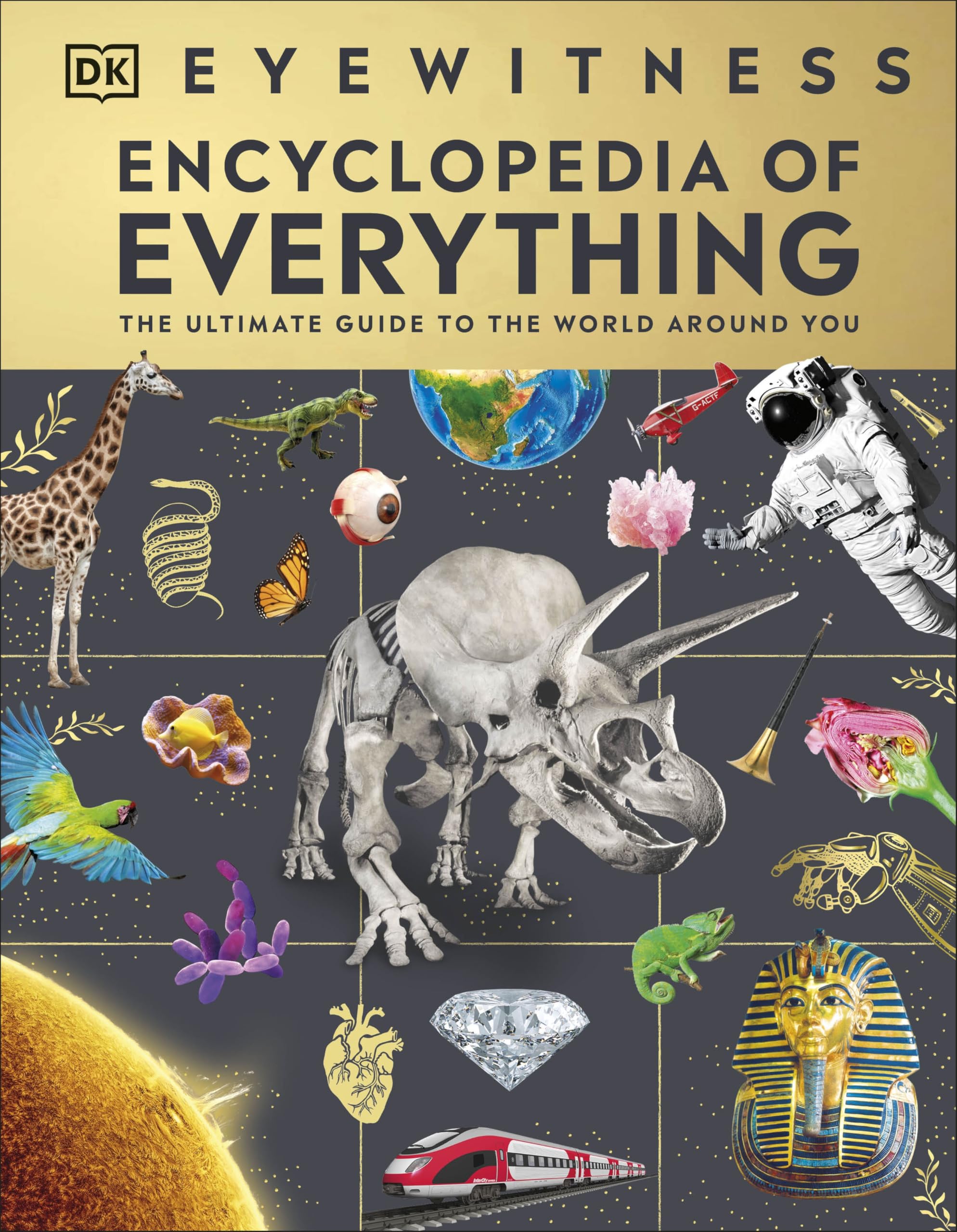 DK Eyewitness Encyclopedia of Everything - Ultimate Guide to the World | Hardcover 1
