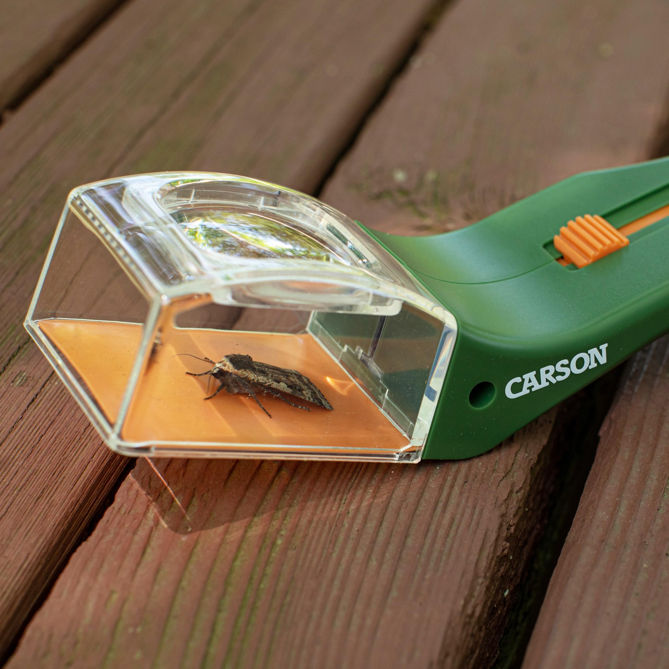 Carson HU-10 BugView Bug Catcher with Built in 5x Magnifier | Green Plastic Tool | Unisex Children 5