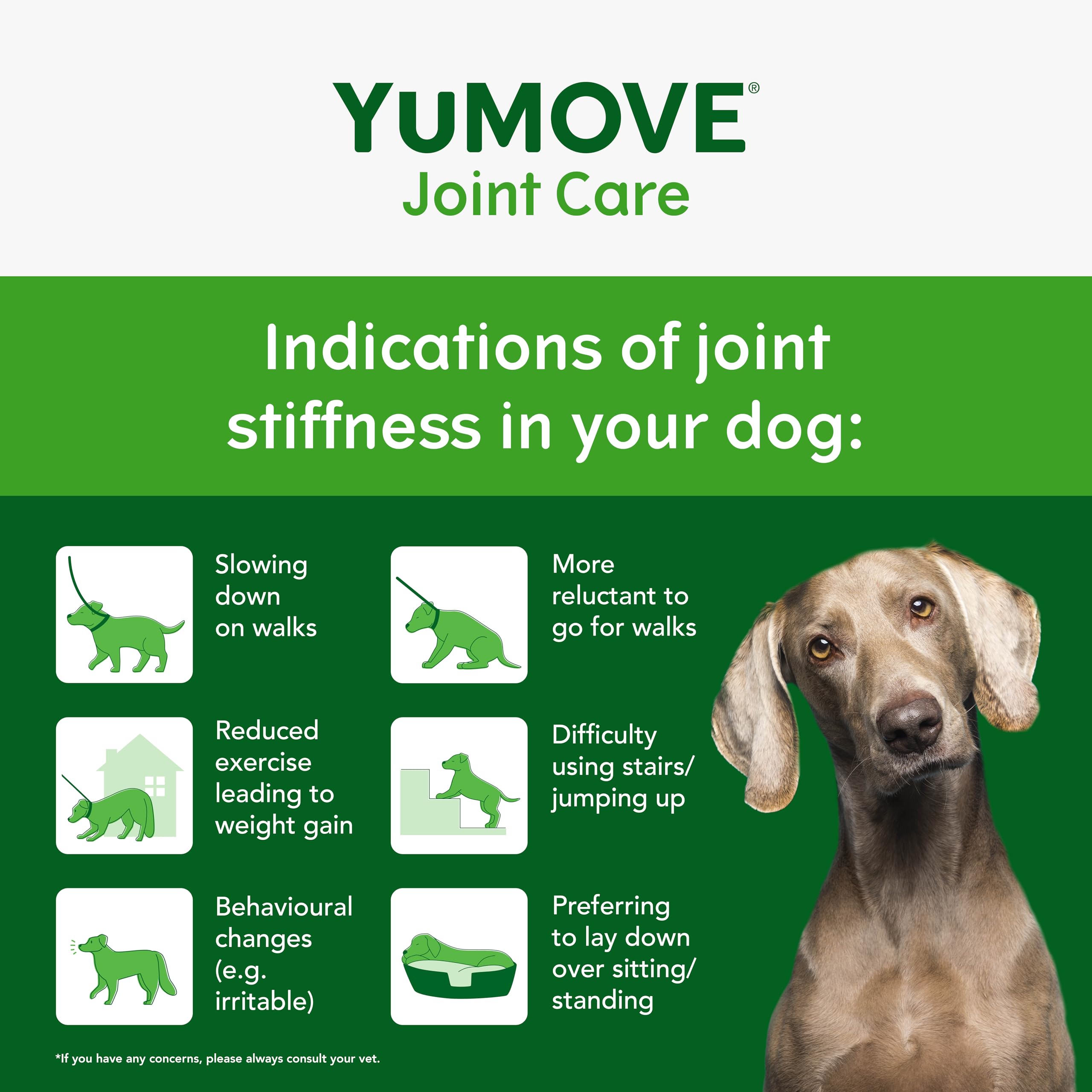 YuMOVE Joint Supplement for Dogs - Triple Action Support for Large Dogs | 30 Count 3