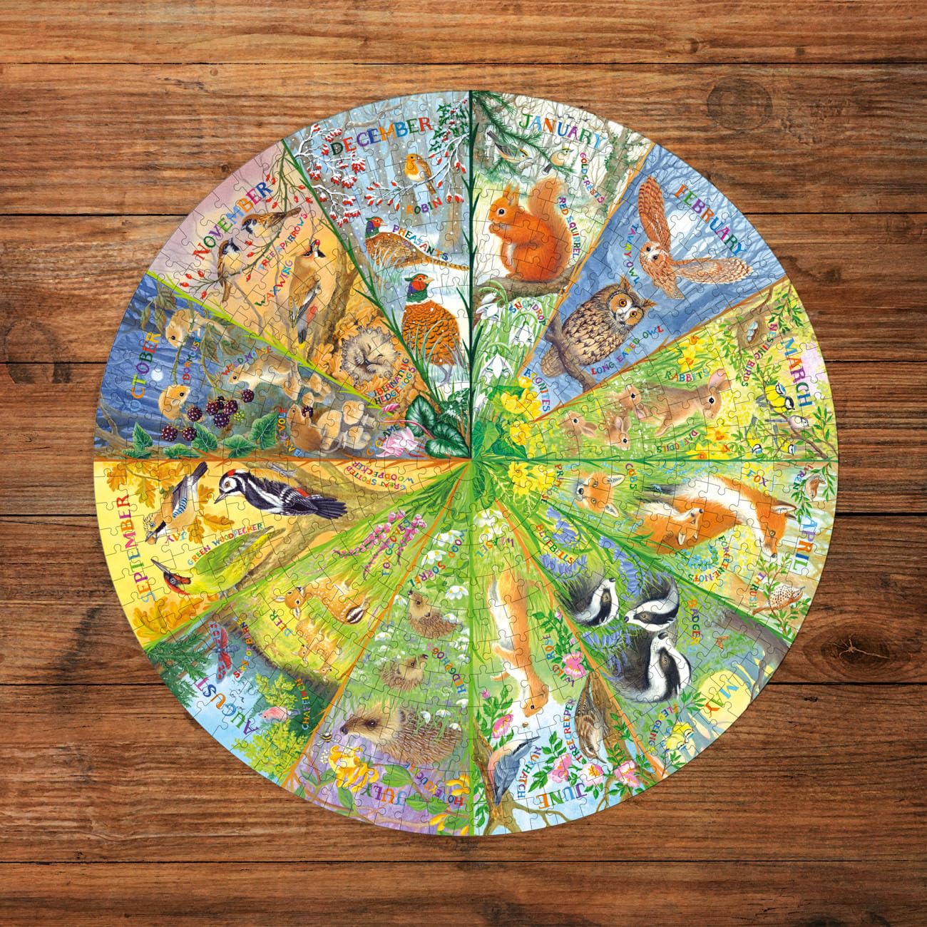 Gibsons National Trust A Year in the Forest 500 Piece Circular Jigsaw Puzzle