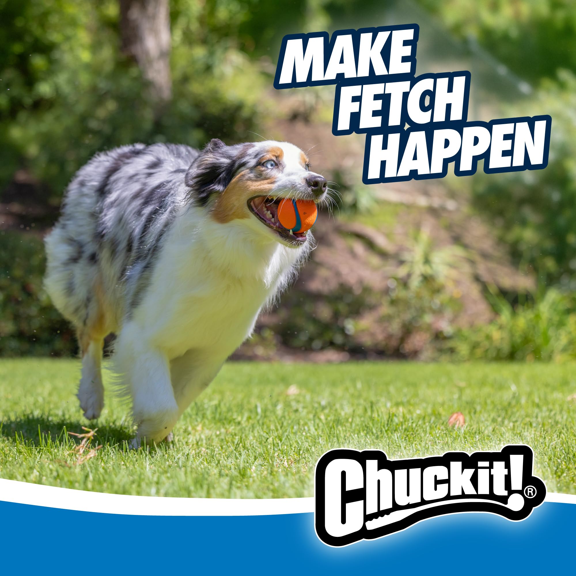 Chuckit! Ultra Balls - Medium Size Fetch Toy | 4-Pack | Orange Natural Rubber 5
