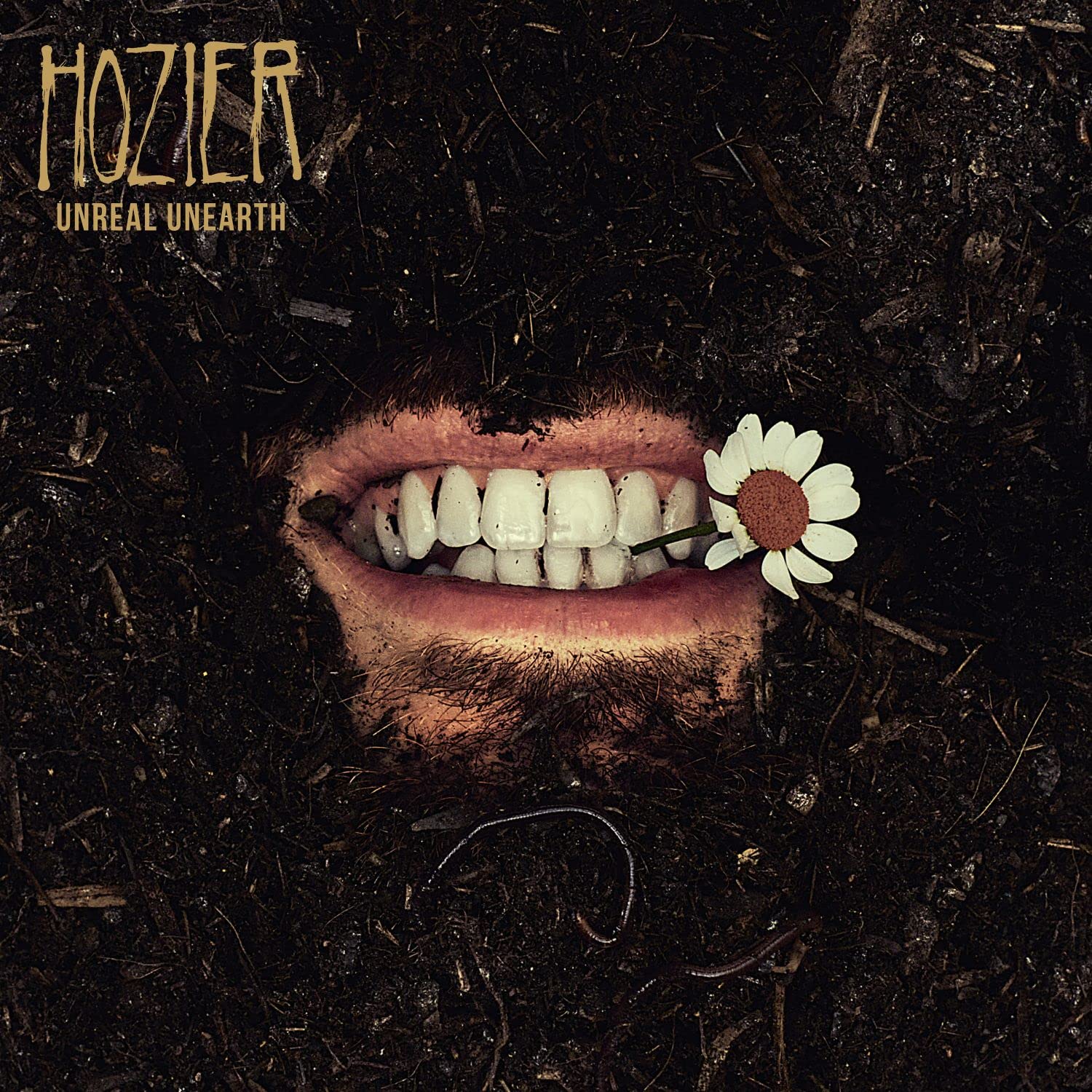 Hozier - Unreal Unearth Black 2LP Vinyl 3
