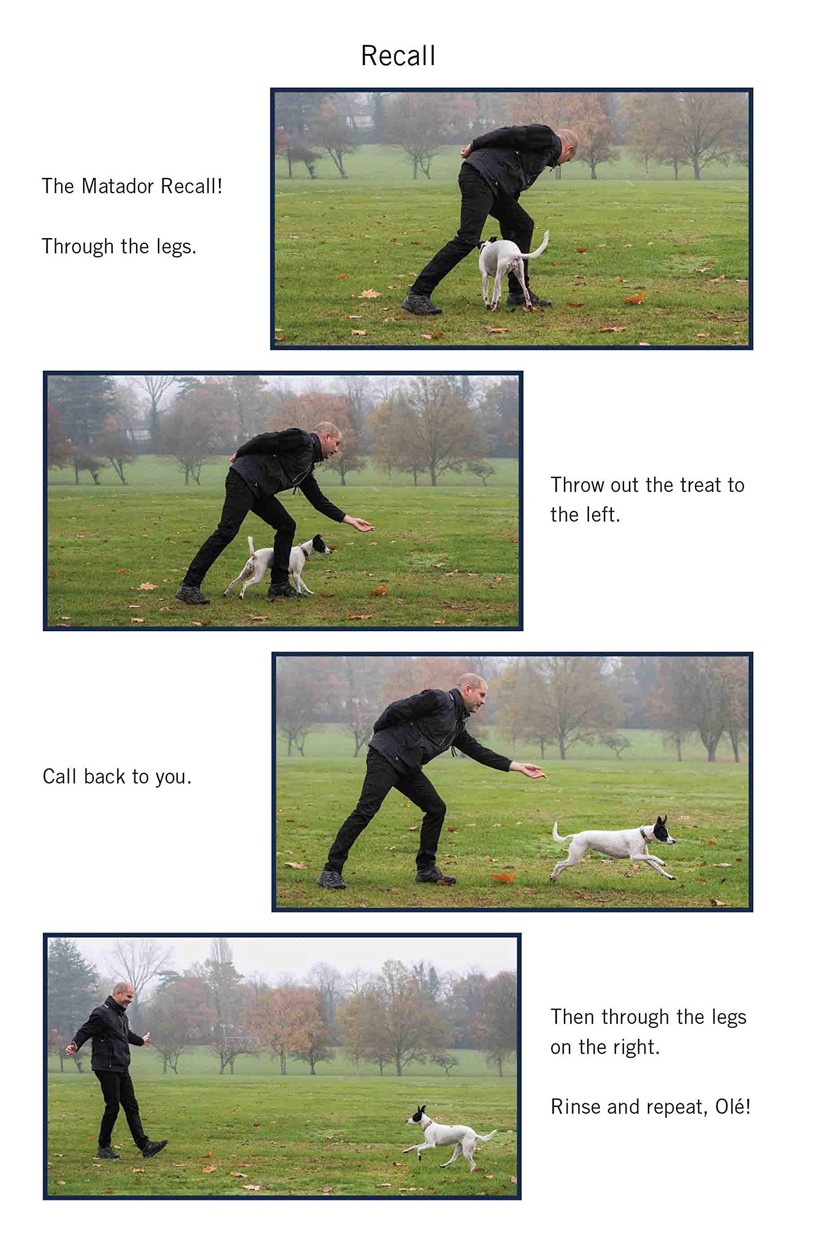 Blink Publishing Easy Peasy Puppy Squeezy - UK's No.1 Dog Training Book by Steve Mann
