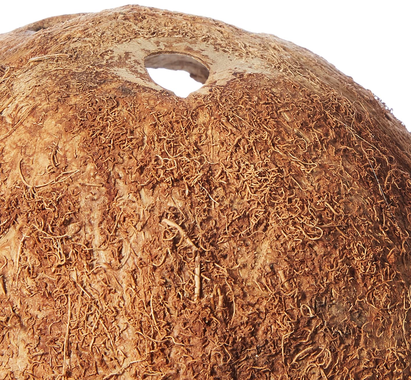 TRIXIE Three Coconut Hideaway Home - Natural Reptile & Rodent Shelter | 10 x 12 x 8 cm 3