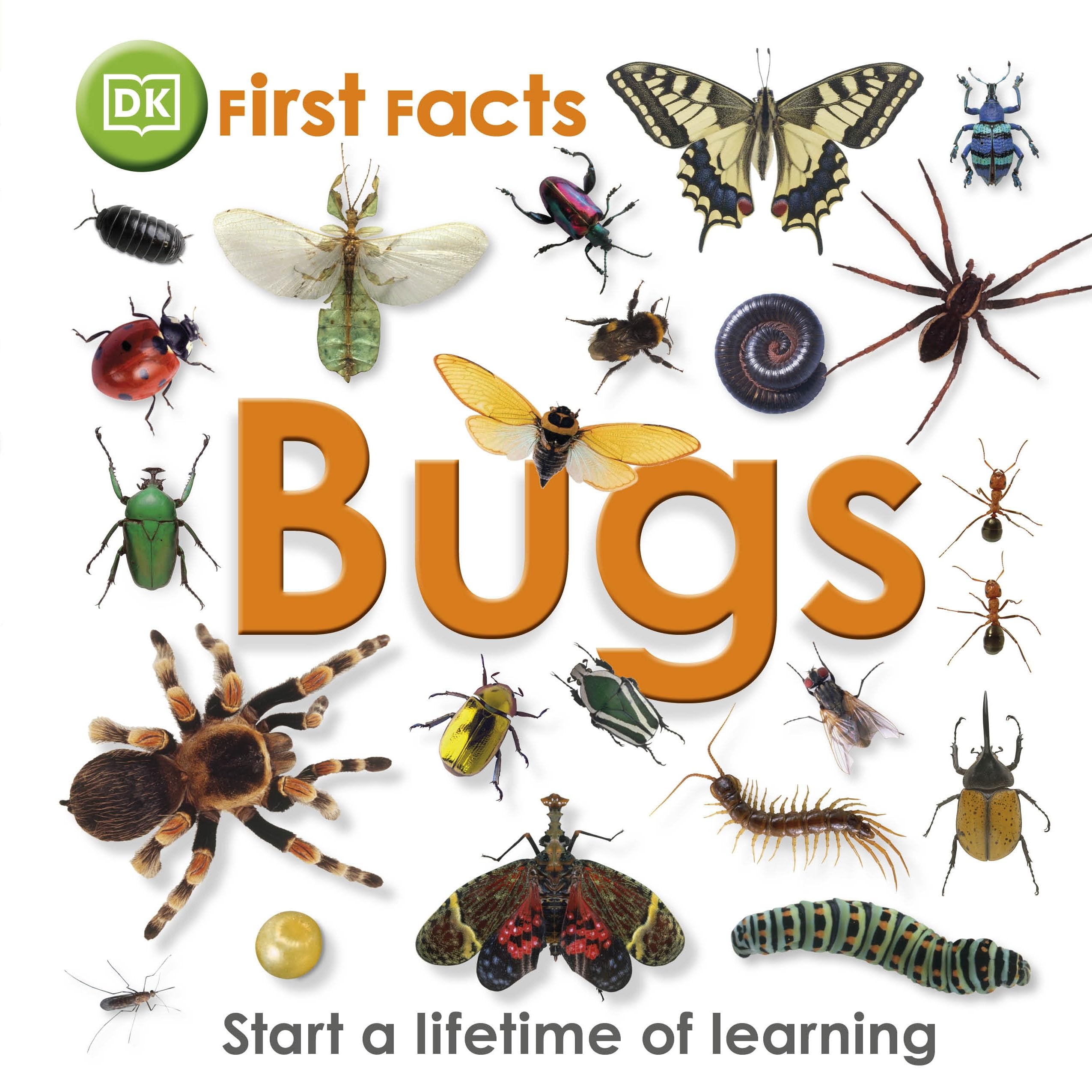 DK First Facts Bugs Reference Book | Hardcover | English | Ages 2-5 1