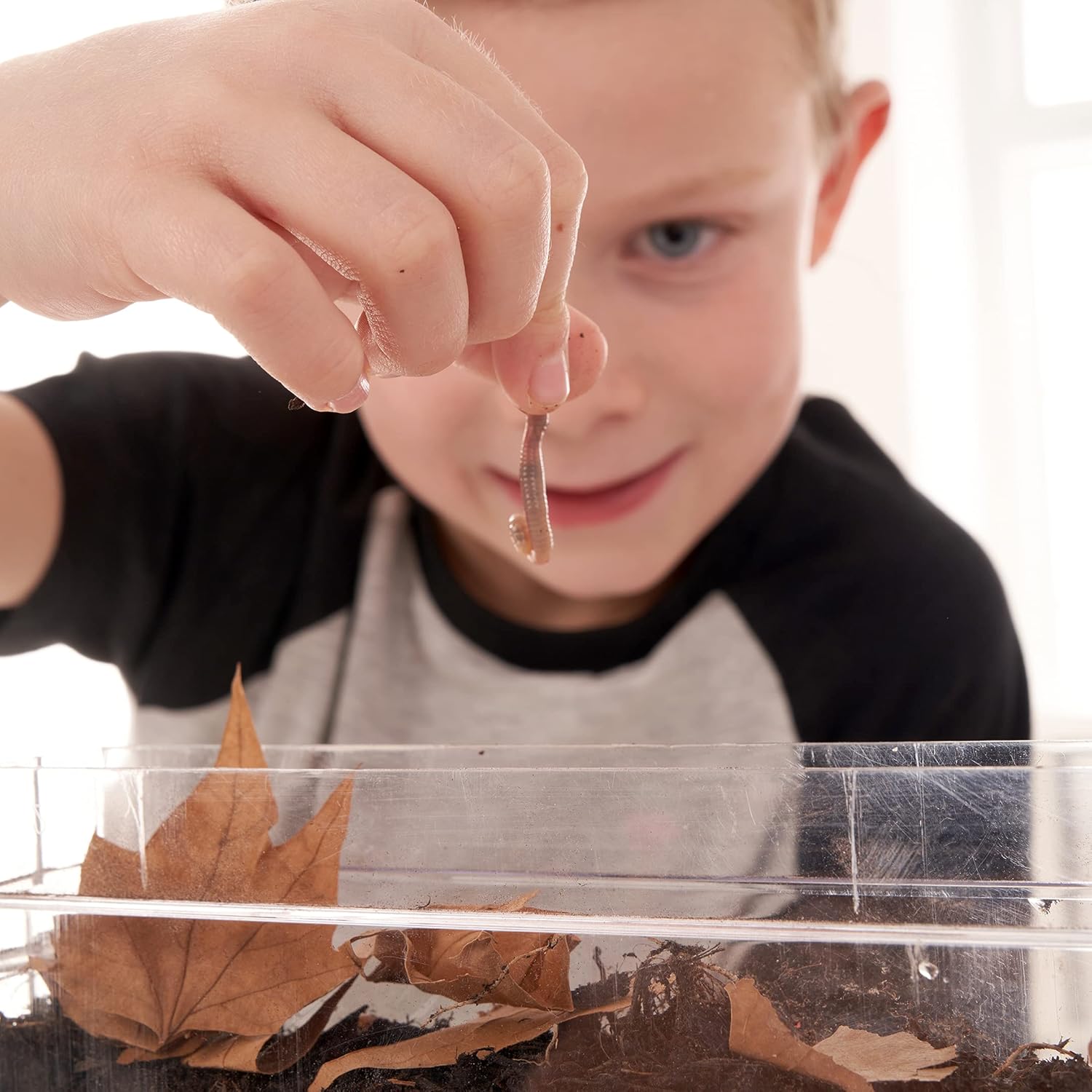 My Living World LW102 Interplay Worm World - Educational Science Kit for Kids 5+ 6