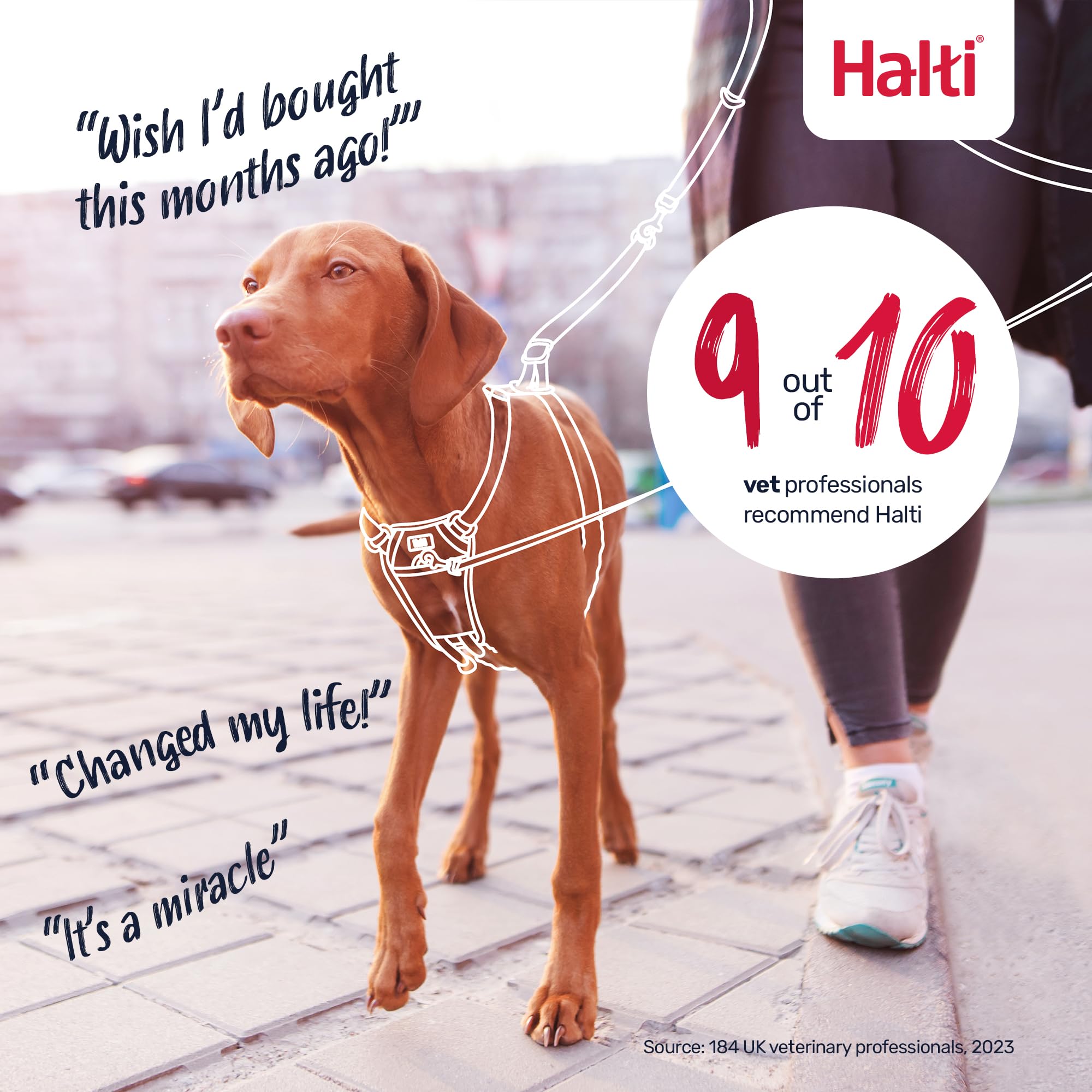 Halti No Pull Harness - Stops Pulling with Front Control Steering | Size S | Desert Sand 6