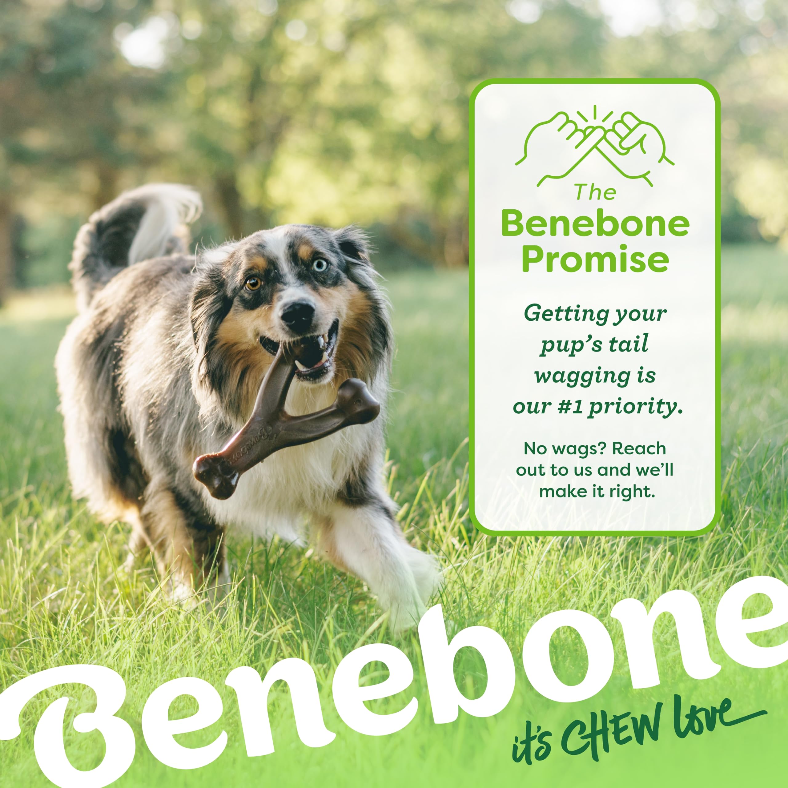 Benebone Wishbone Durable Dog Chew Toy - Real Bacon Flavor | Large Size | Heavy Duty 6