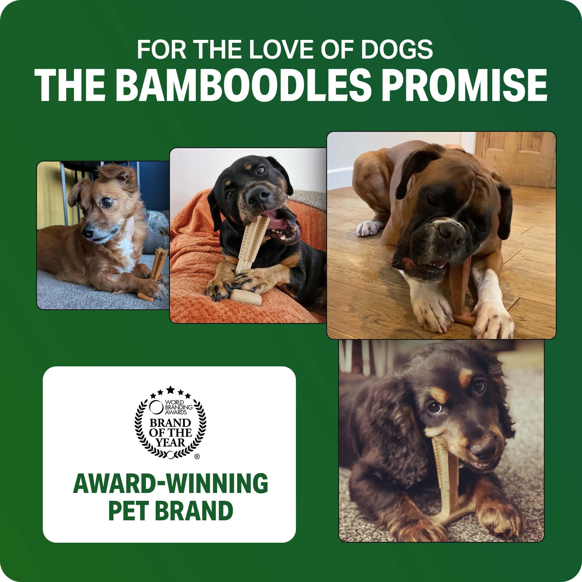Bamboodles T-Bone Dog Chew Toy - Large Size | Chicken Flavour | Durable Nylon Bamboo 7
